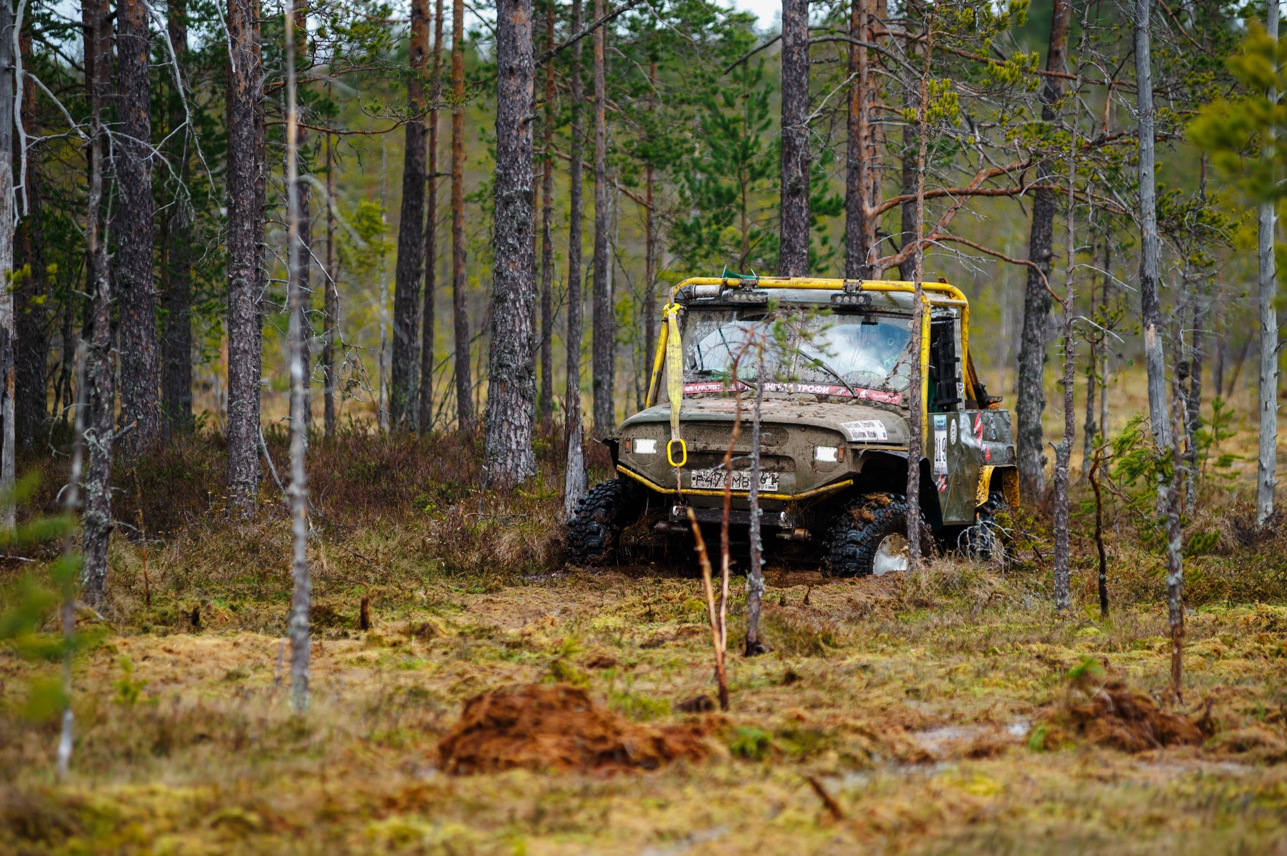 Ленинград-трофи 2024 — день 1. Фотограф Алексей Алексеев
