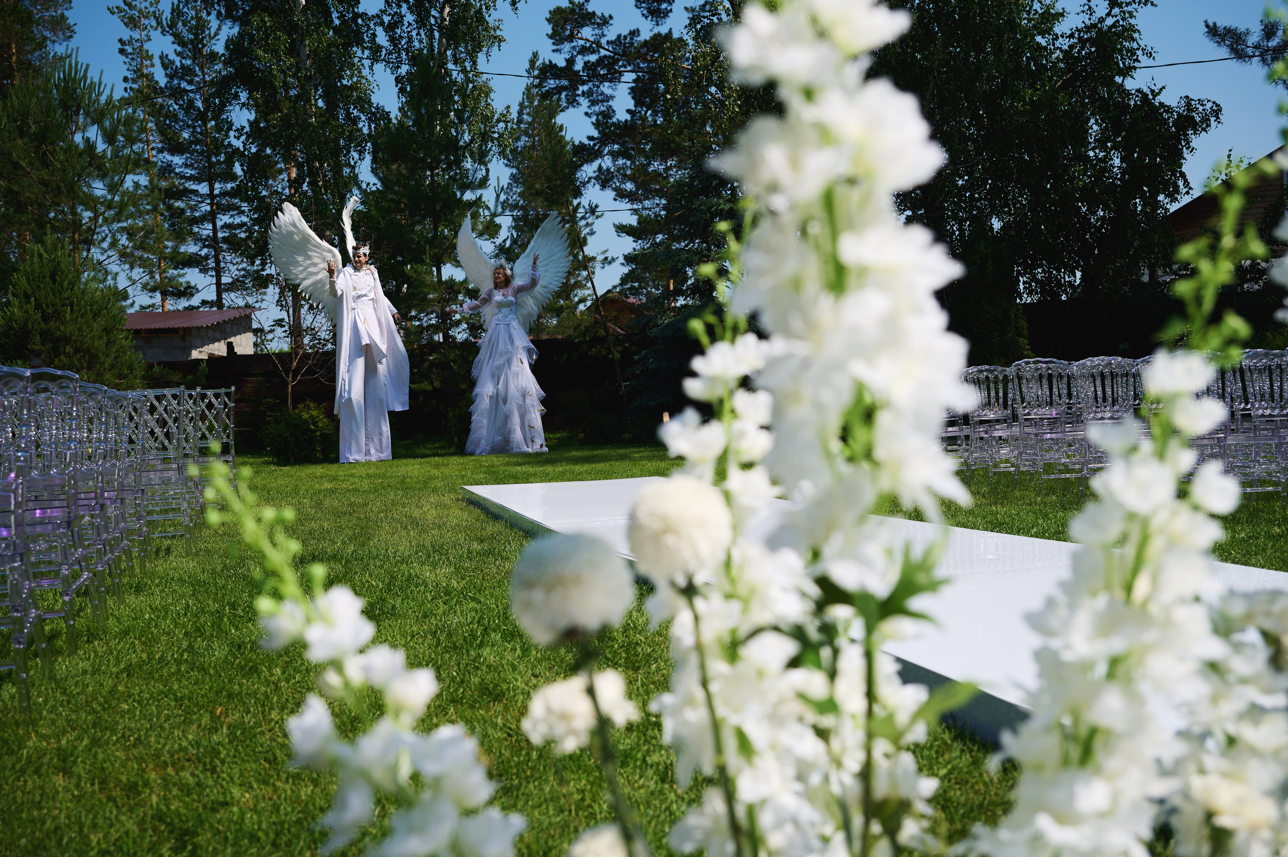 Lesnoy Village. Фотограф Опыт Качество Скорость Горный Алтай Барнаул