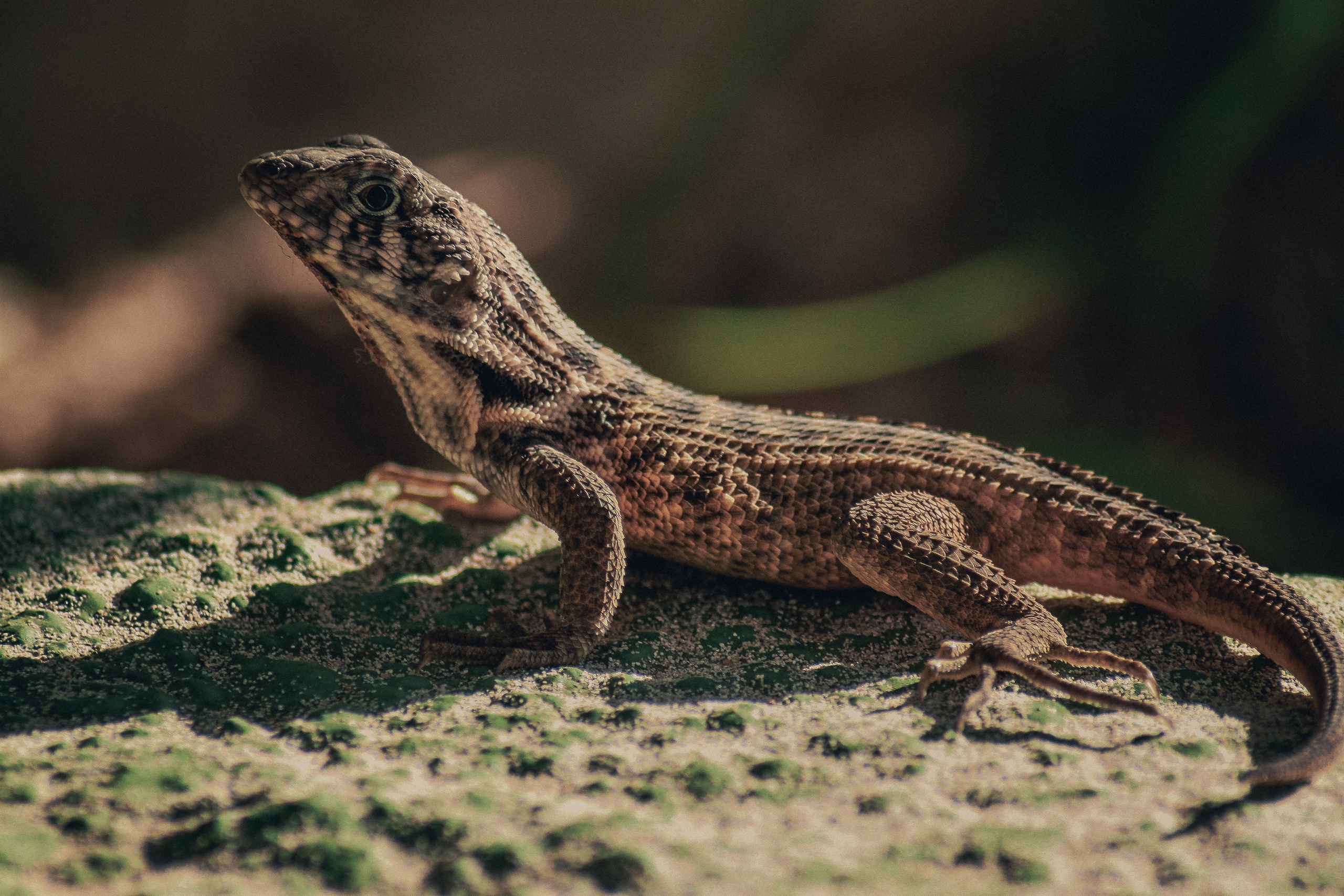 Куба. Фотошкола ArtFotoLife для начинающих и продвинутых фотографов