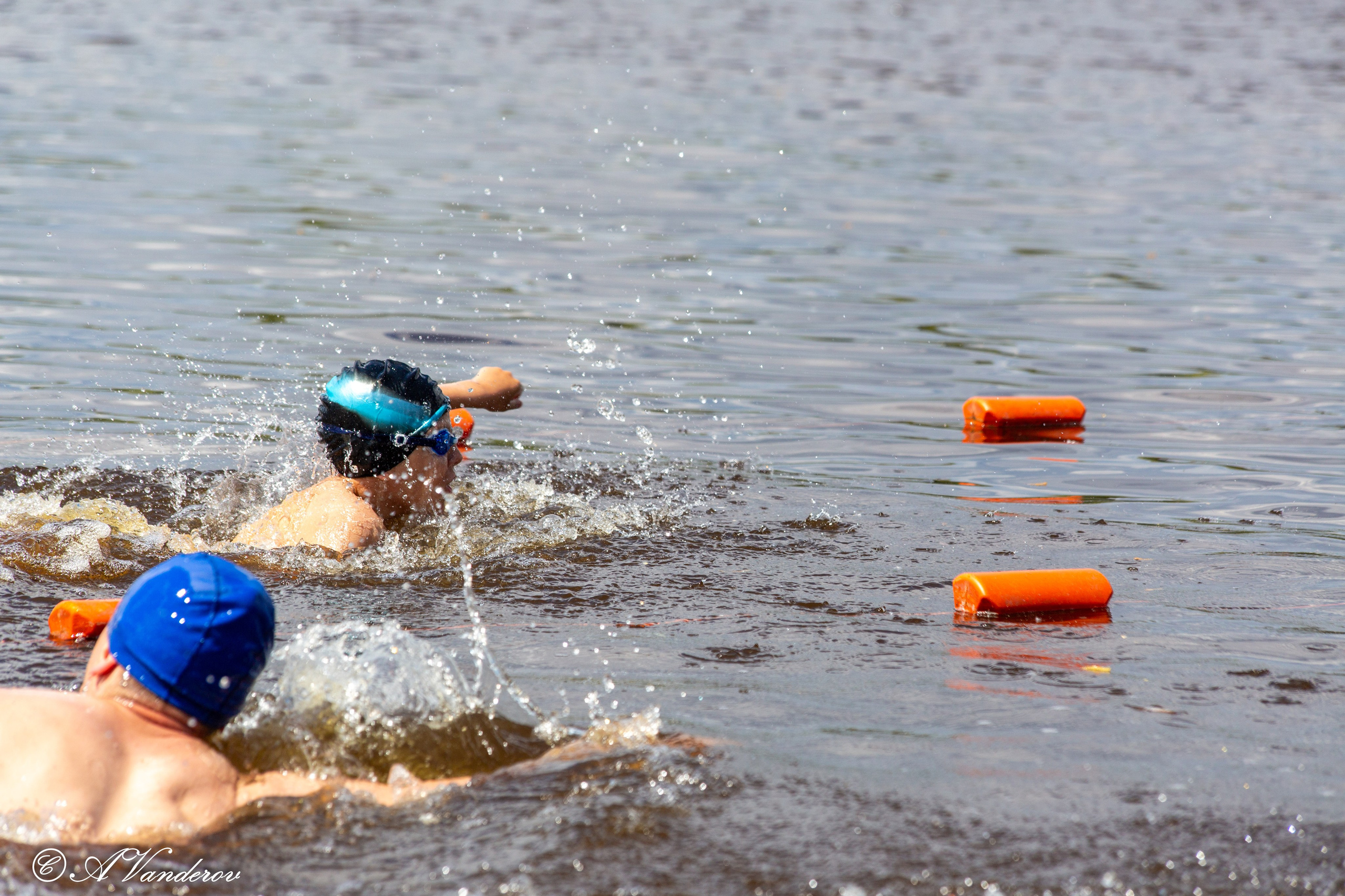 Заплыв 02.06.2024. Фотограф Омск | Александр Вандеров