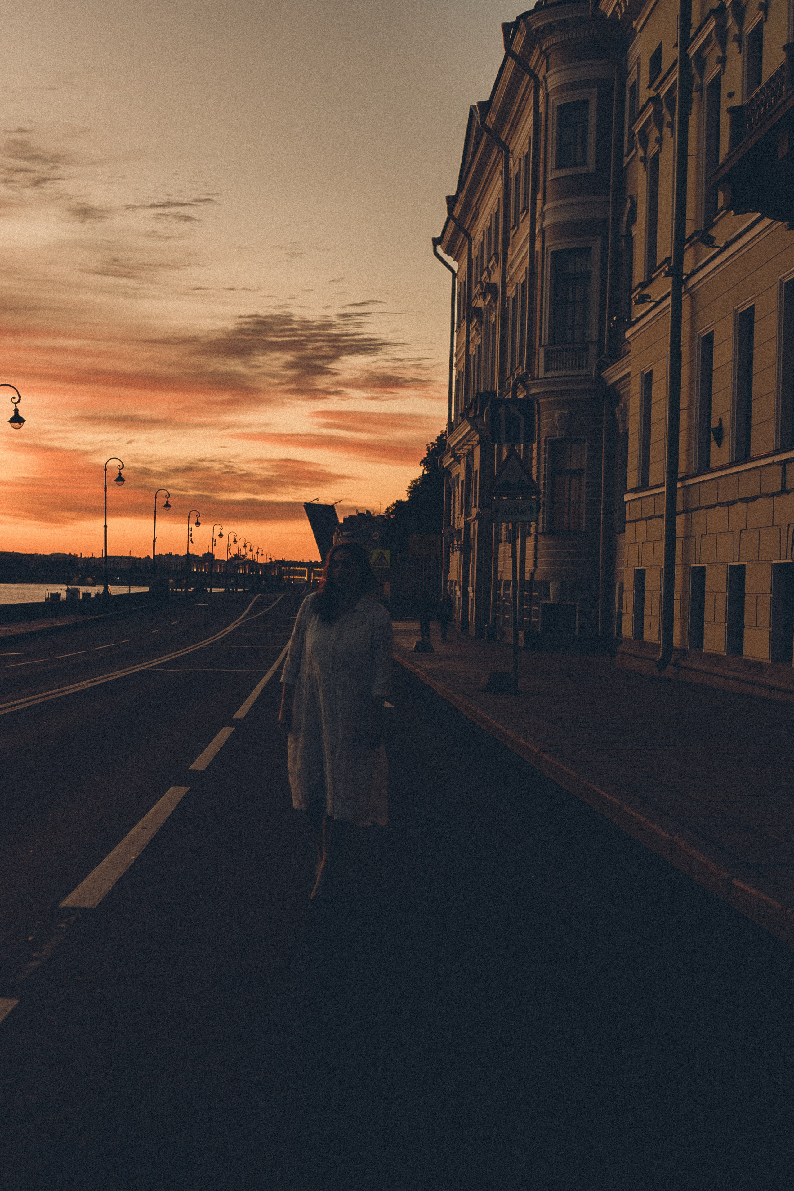 РАССВЕТ С РАЗВОДНЫМИ МОСТАМИ. Профессиональный фотограф, Санкт-Петербург — Виктория Богомолова