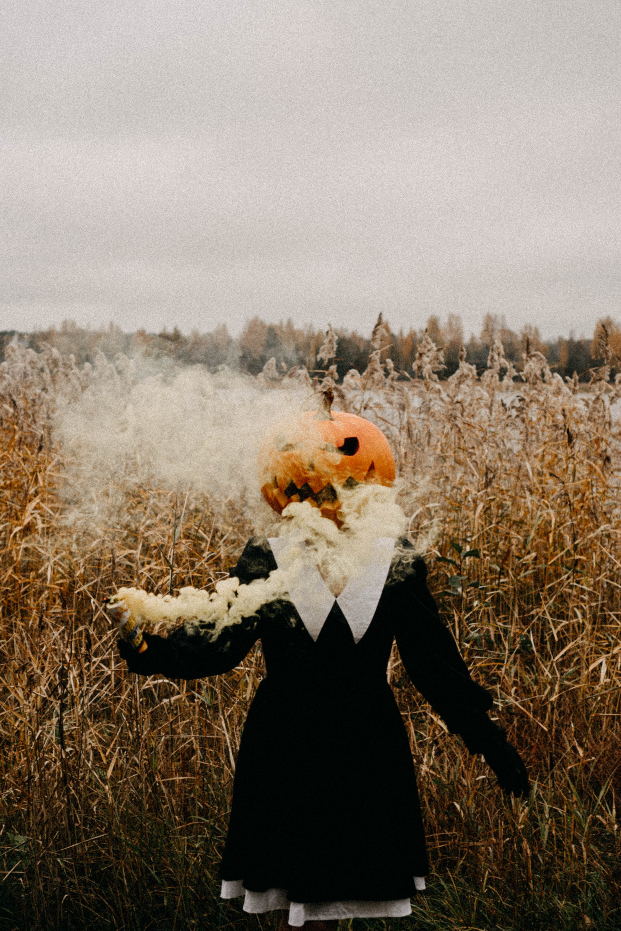 Осеняя. Профессиональный фотограф, Санкт-Петербург — Виктория Богомолова