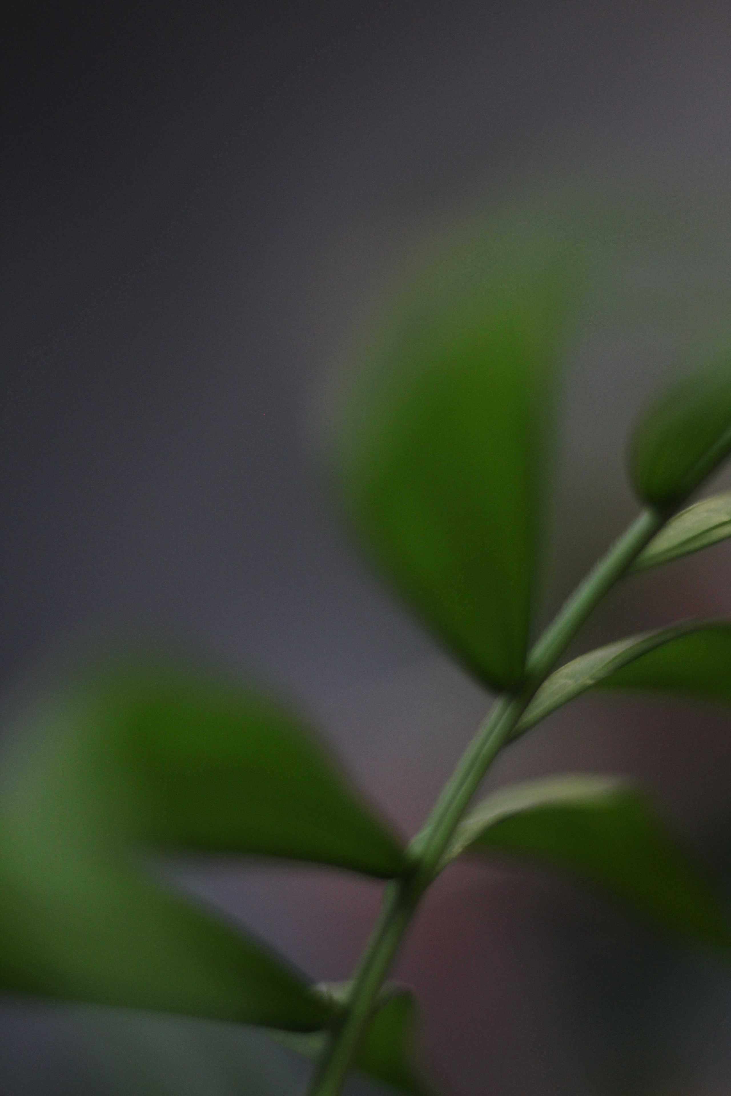 Контакты фотографа. Фотограф в Екатеринбурге Переверзева Анна