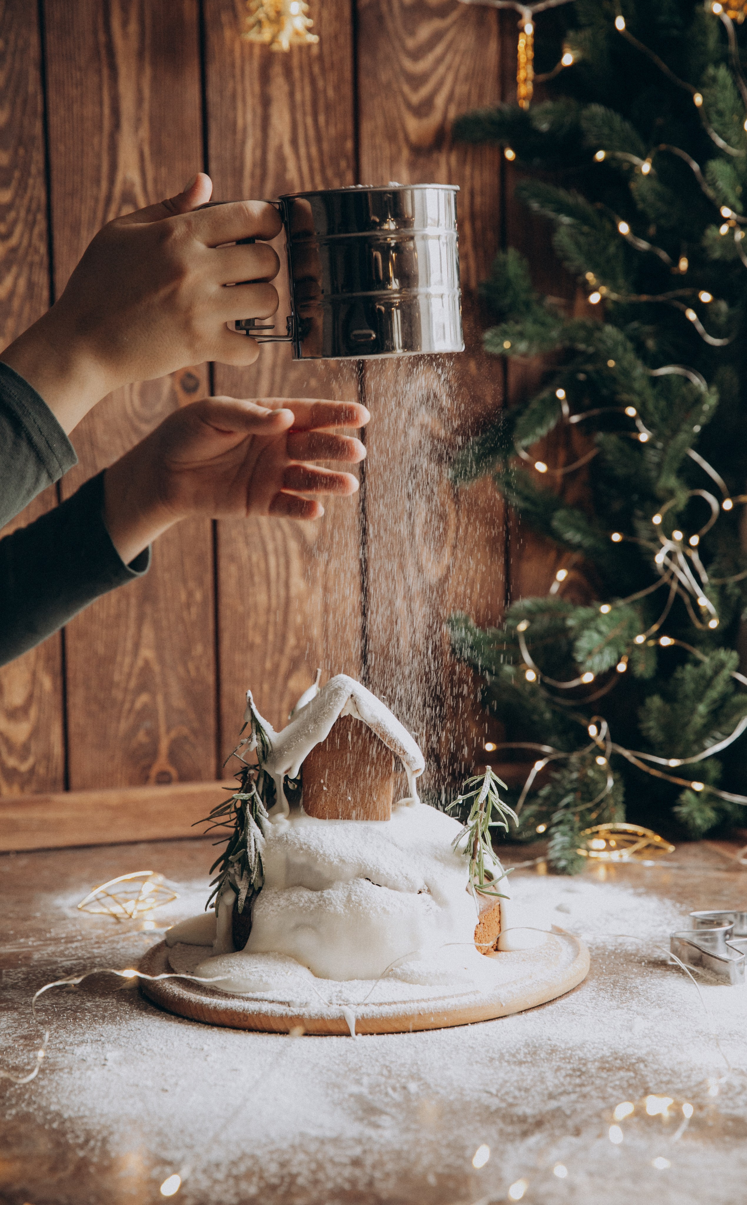 НГ. Свадебный и семейный фотограф Василина Батищева в Моздоке, Северной Осетии и КМВ