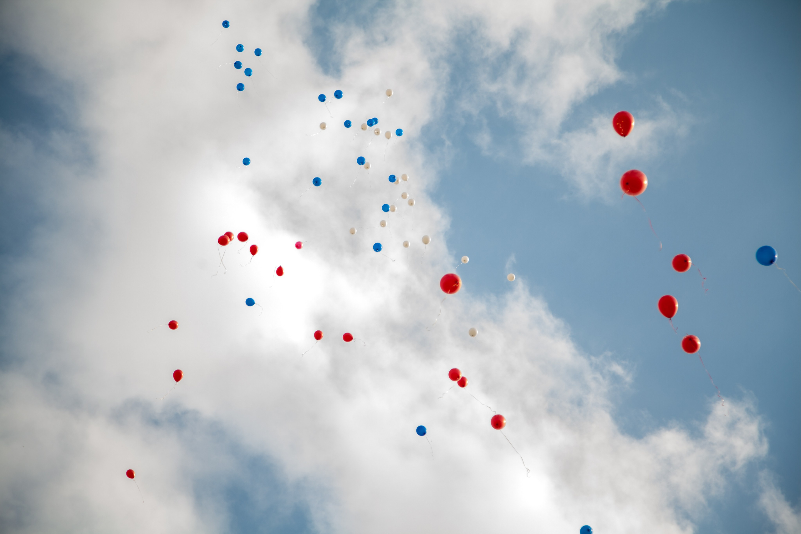 Линейка 1 сентября. Свадебный и семейный фотограф в Армавире