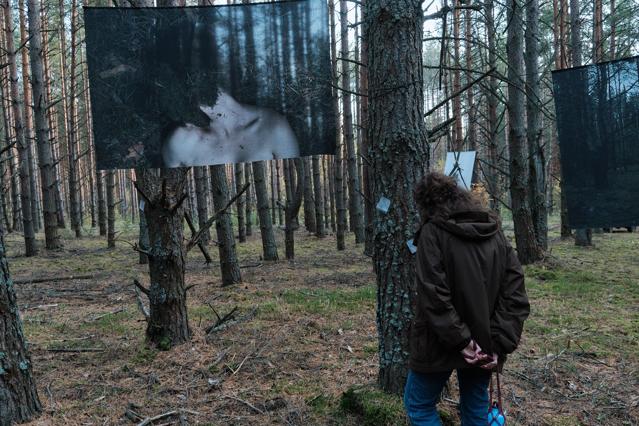 Я приношу к себе лес я себя приношу в лес. Алиса Косарева