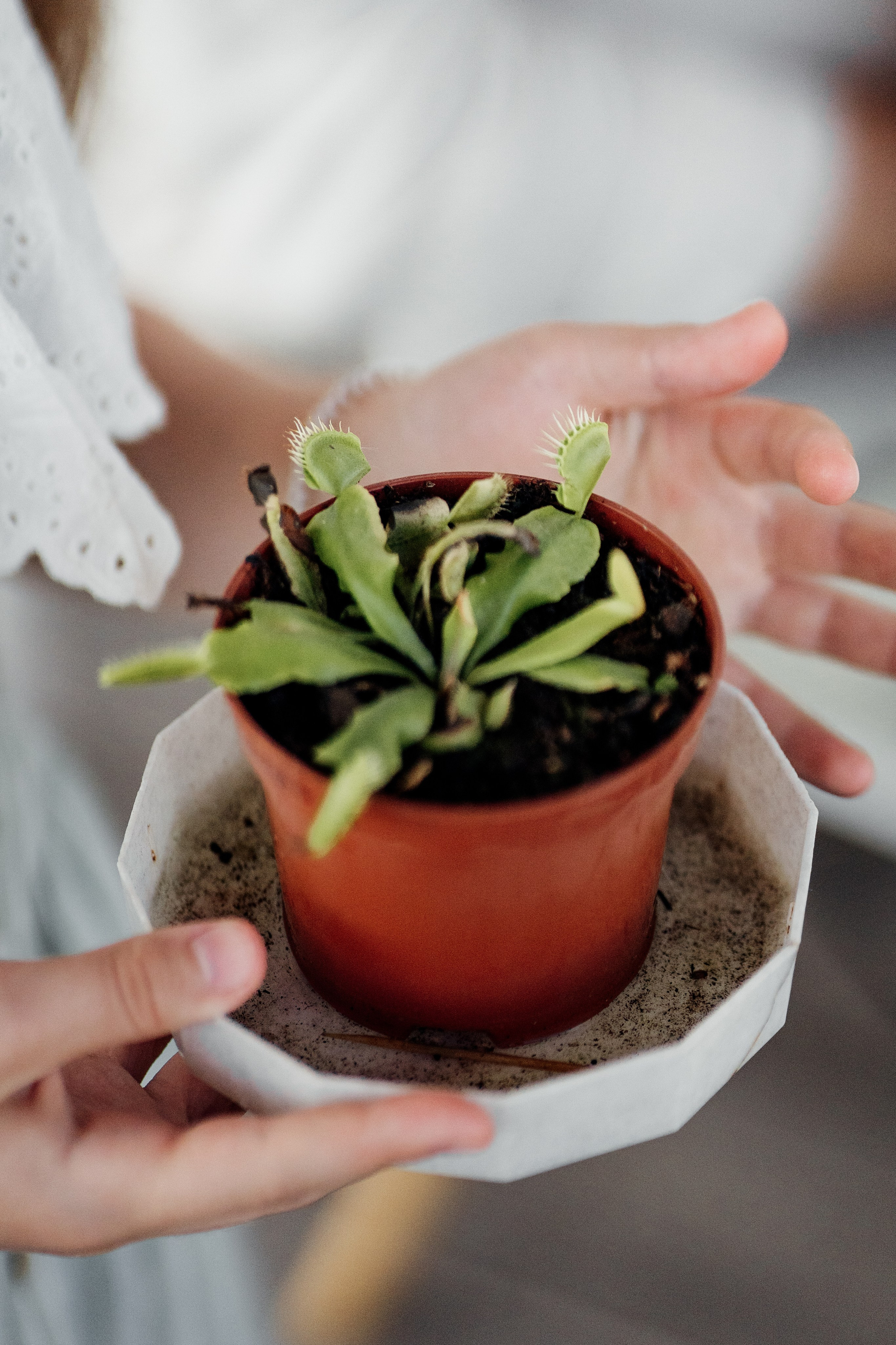 Диляра. Мира Назарова / Фотограф / Специалист по личному