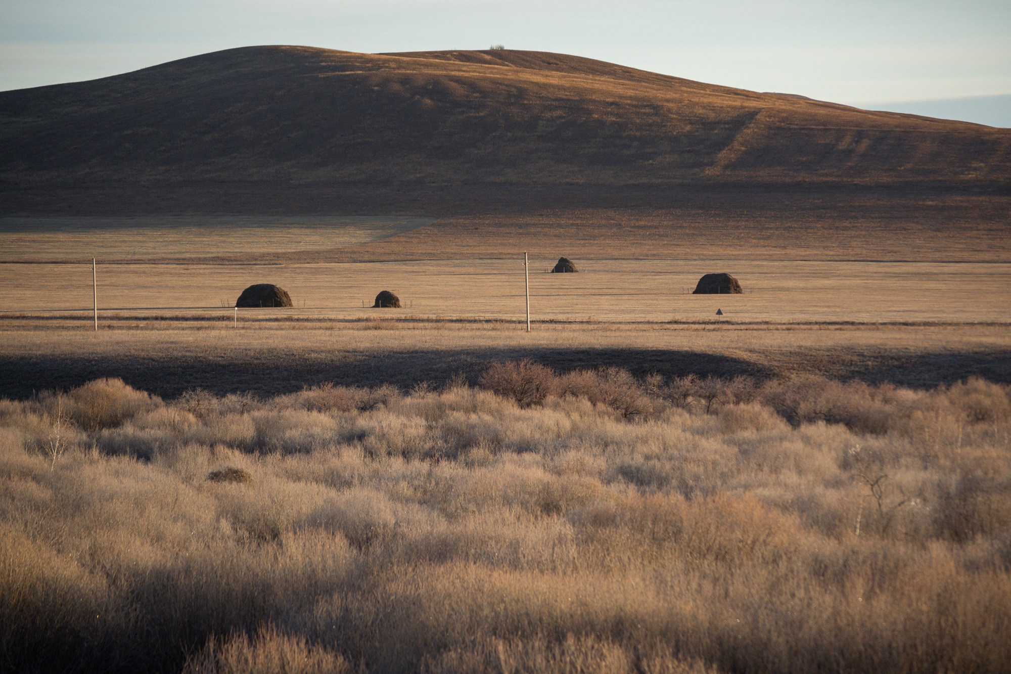 Разное. Репортажный фотограф г. Чита