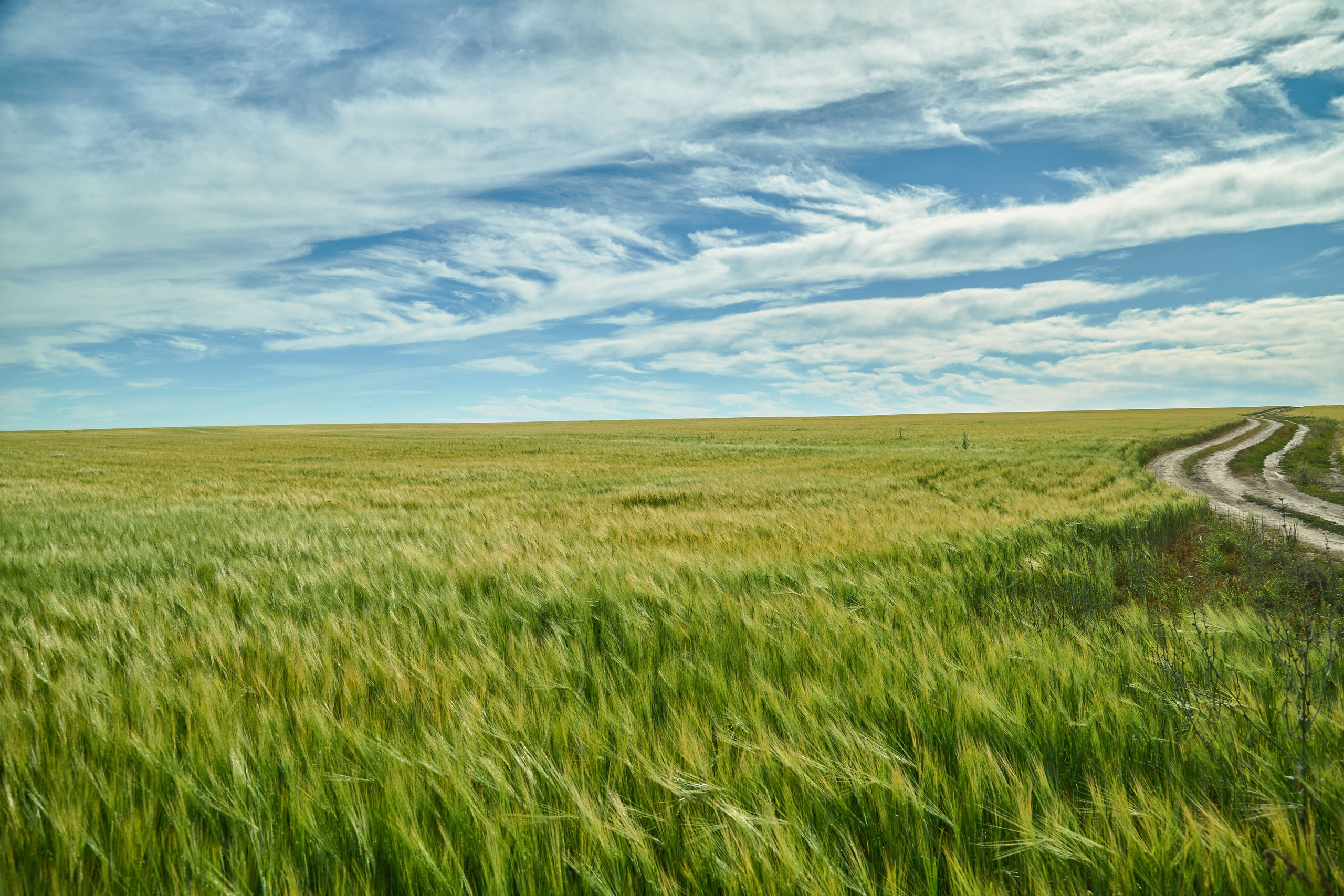 Пейзажная фотосъемка. Владимир Суздалов (ProMaXe) — Портретный фотограф, тематические фотосессии в Чебоксарах