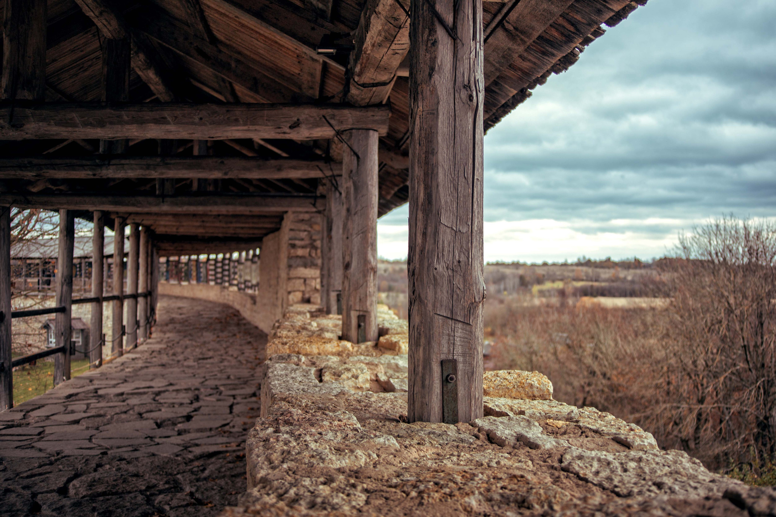 Изборск. Семейный и детский фотограф в Москве Ольга Кривенцова
