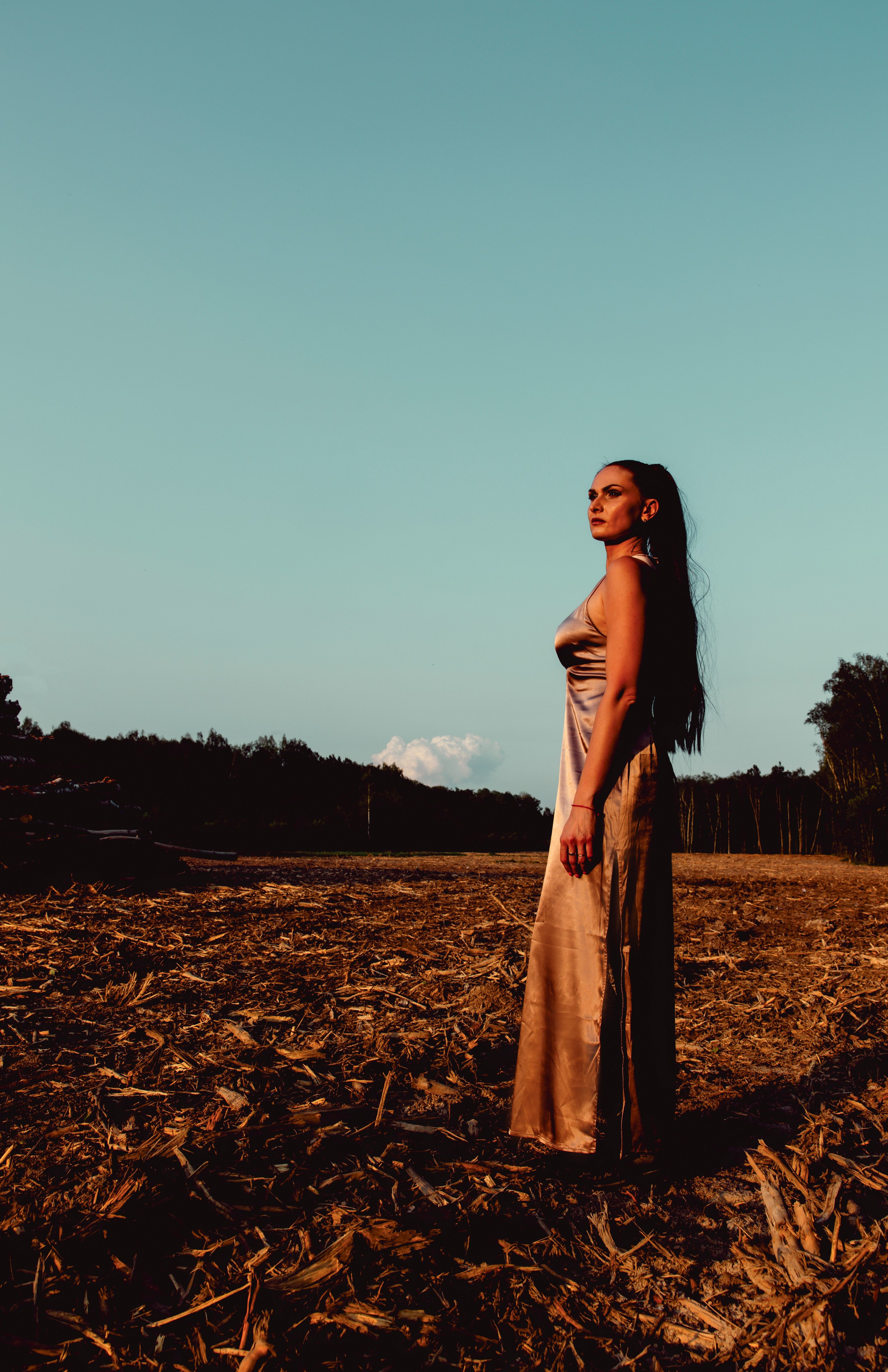 Древесные узоры. Сказочный фотограф для Вас и Вашей семьи