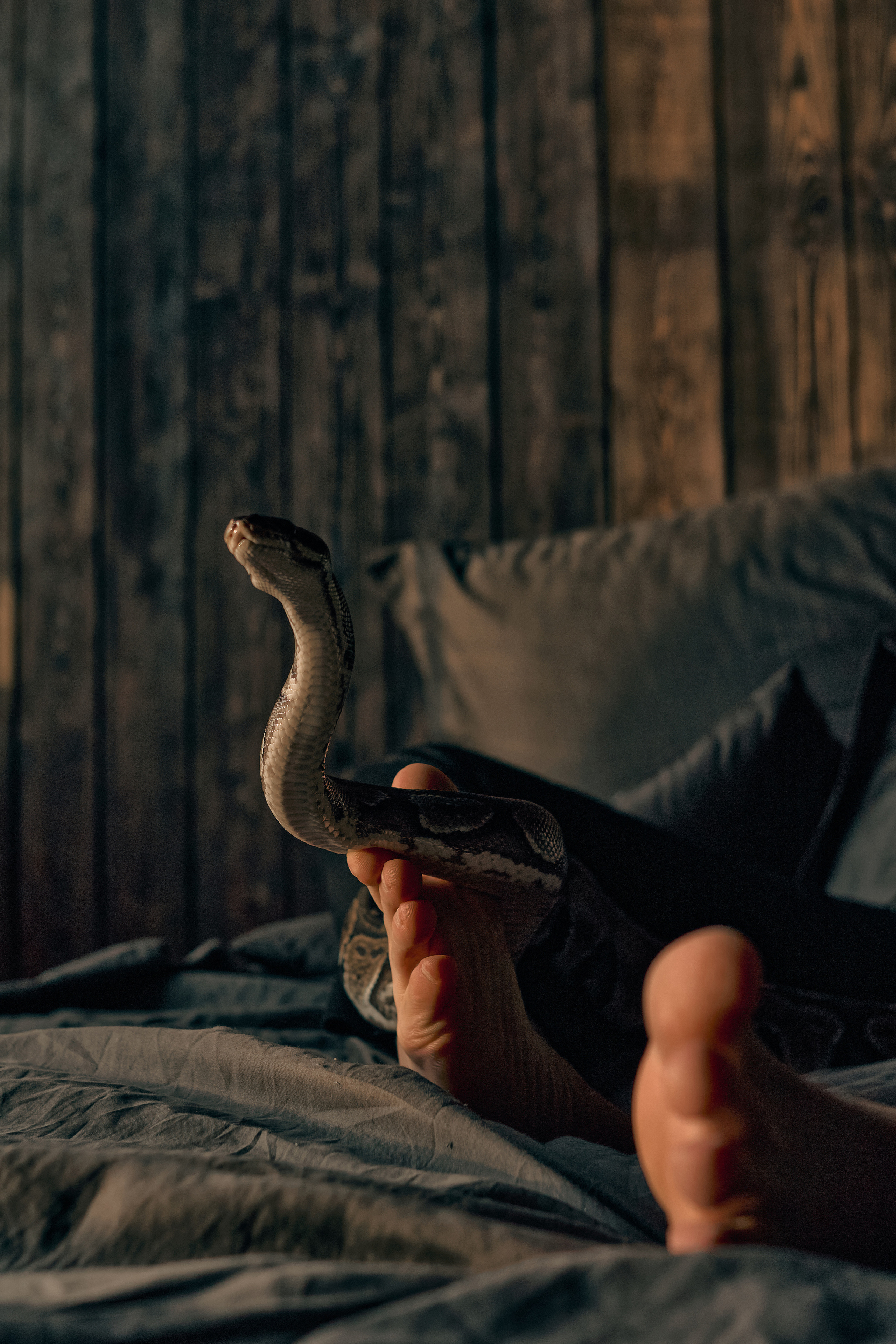 ARTEM x SERPENT. ANDY KIN Мужской и ню-фотограф в Москве