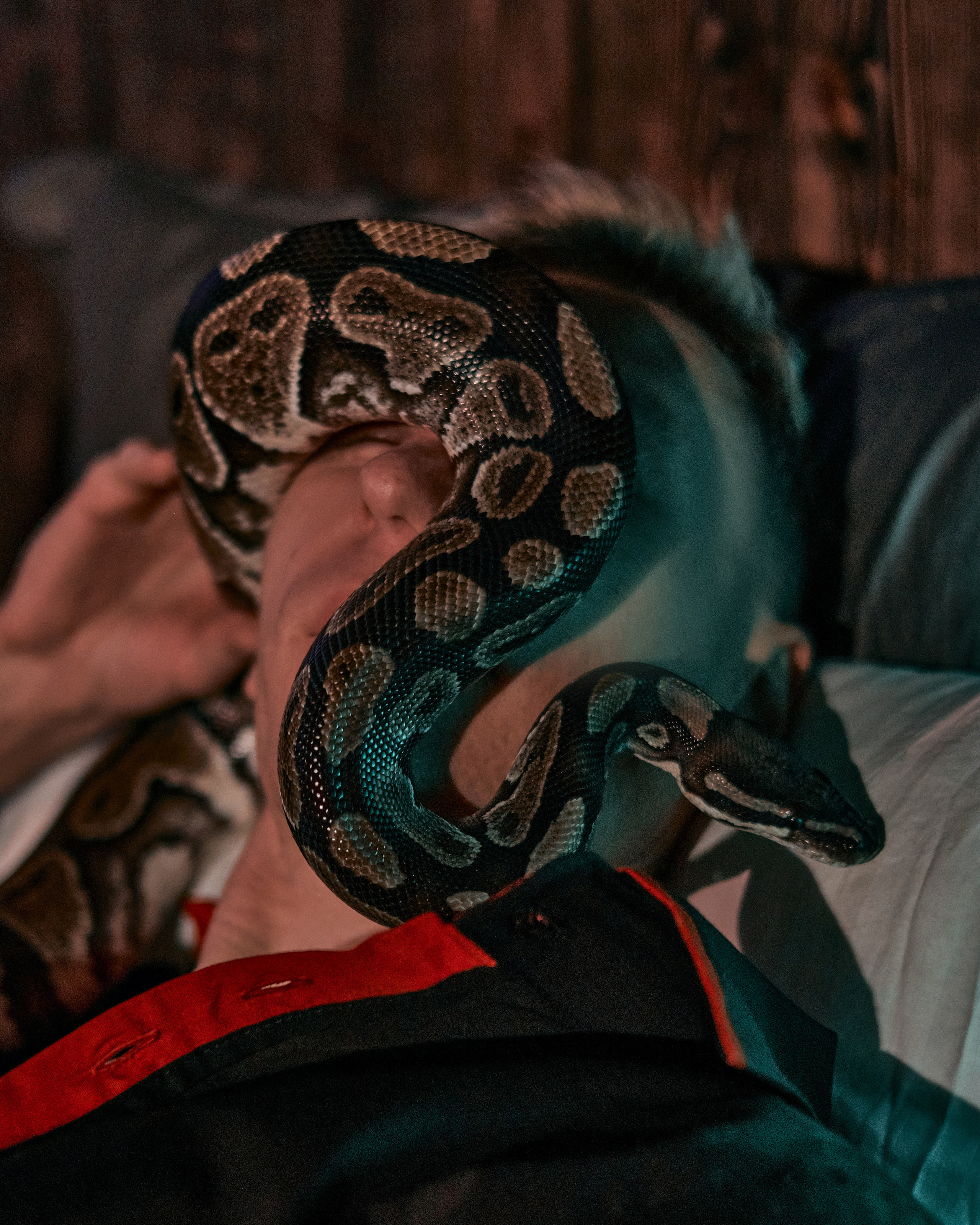 DENIS x SERPENT. ANDY KIN Мужской и ню-фотограф в Москве