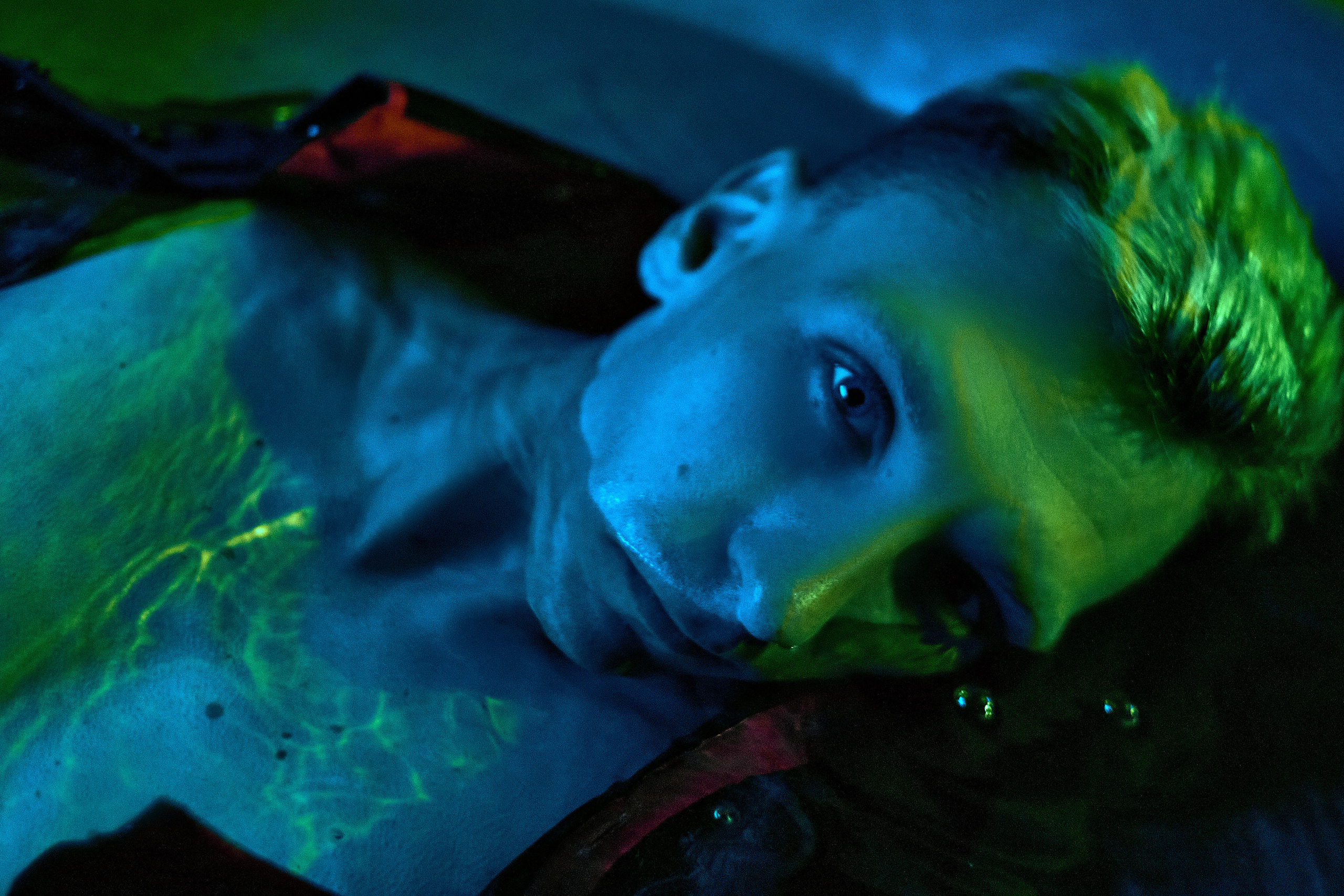 DENIS x SERPENT. ANDY KIN Мужской и ню-фотограф в Москве