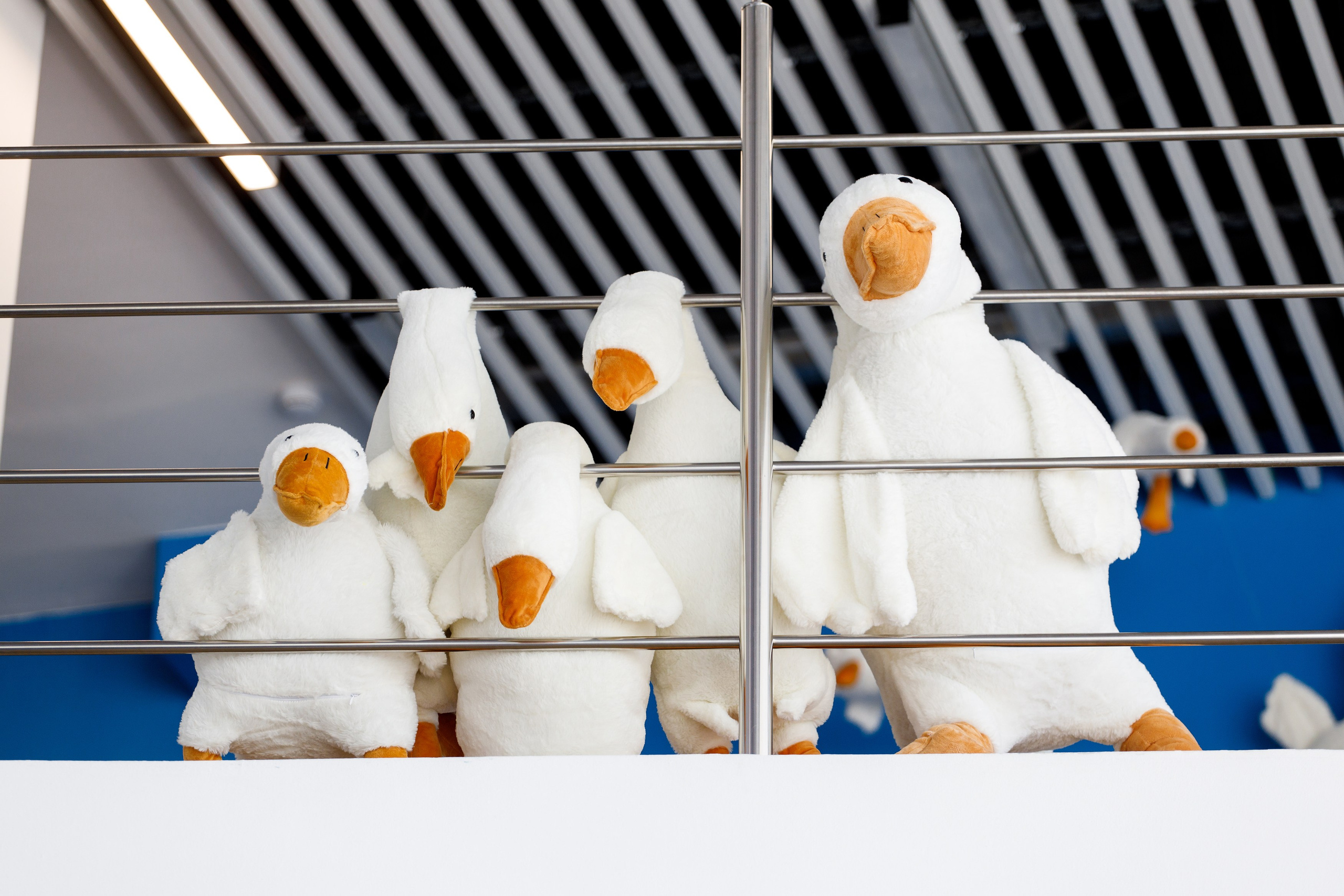 XI Всероссийский форум рабочей молодежи 2023 г. Фотограф Дмитрий Молчанов | Фотограф Пермь | Фотограф