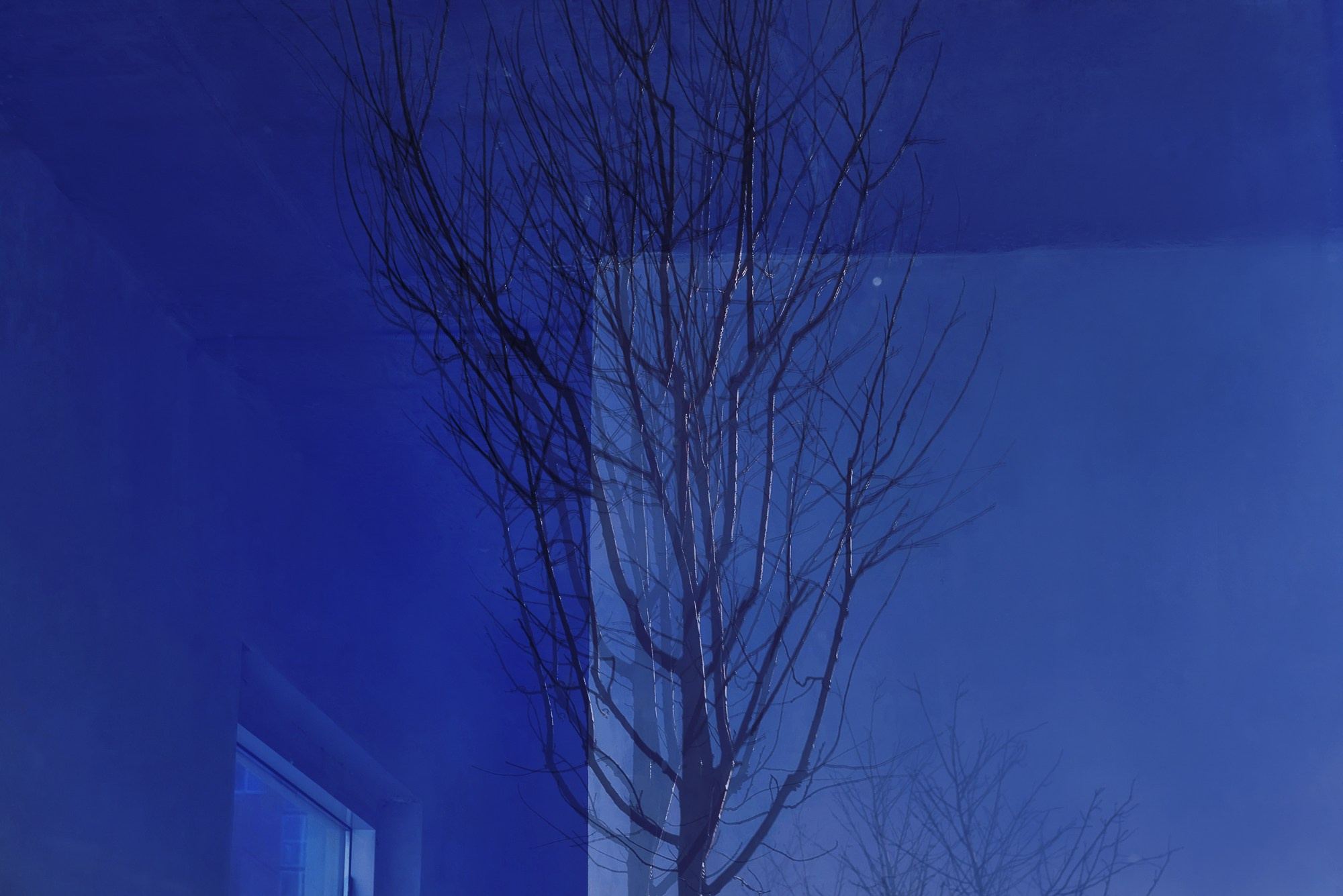 Фотоконтент для психолога. Предметный фотограф в Новосибирске Светлана Логинова