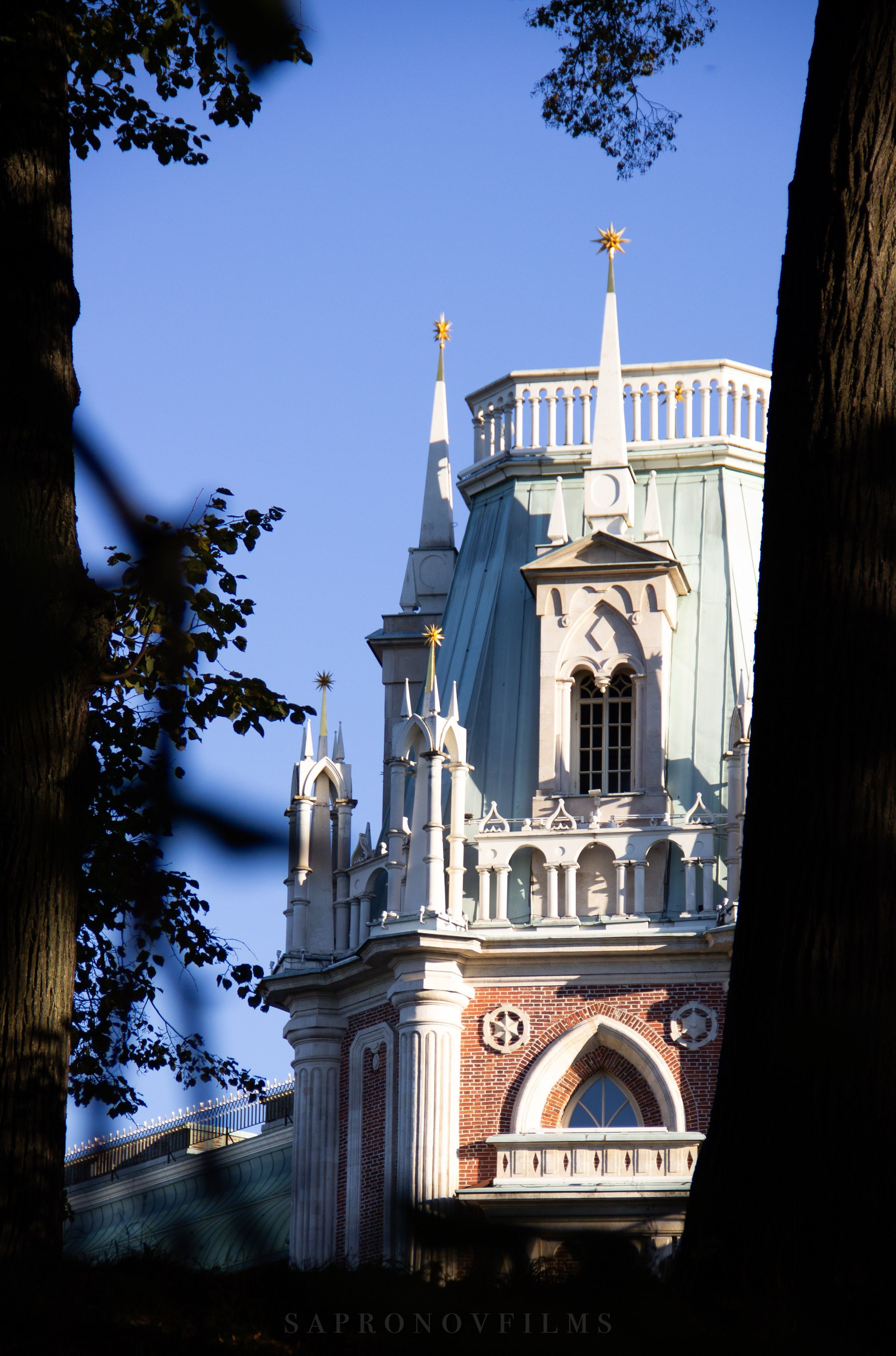 NATURE. SAPRONOVFILMS