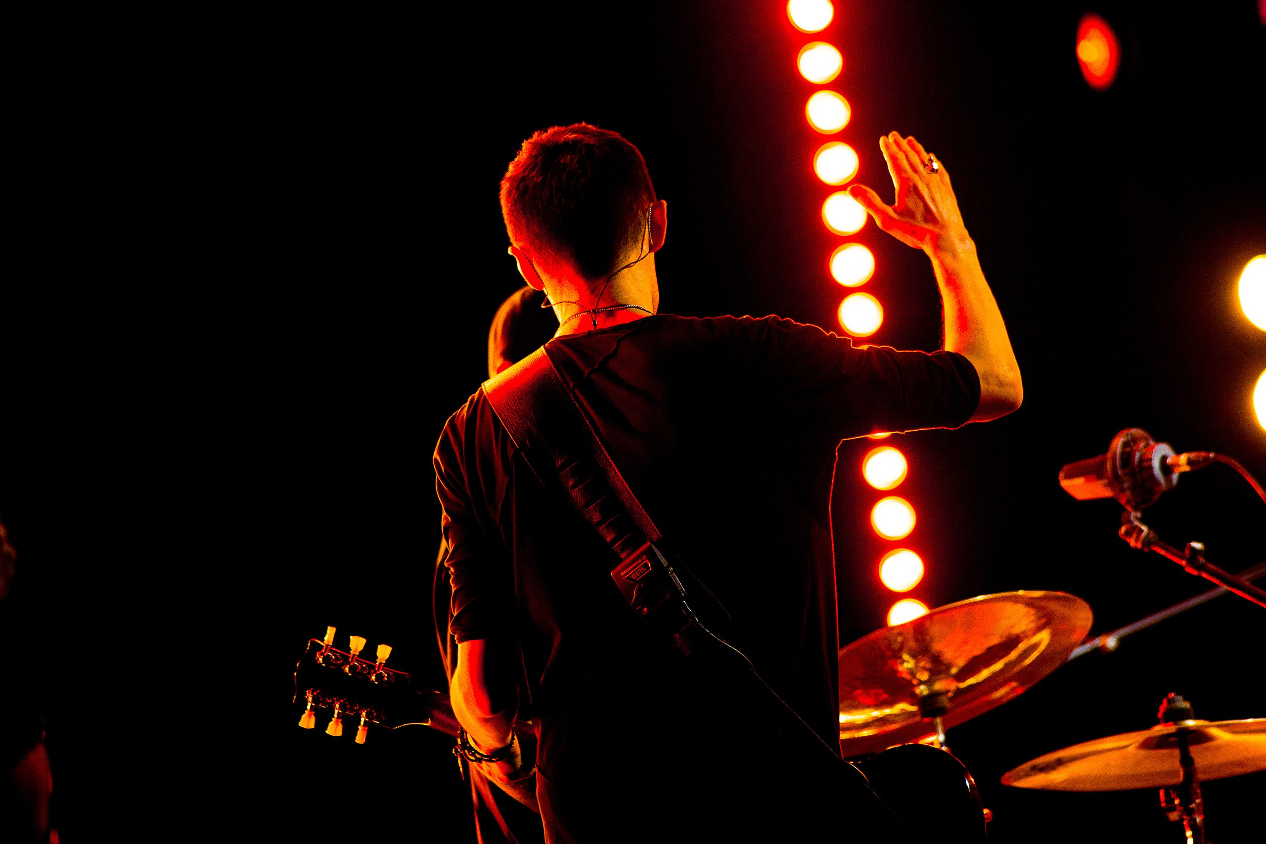 Звери 2025. Репортажный фотограф в Кемерово