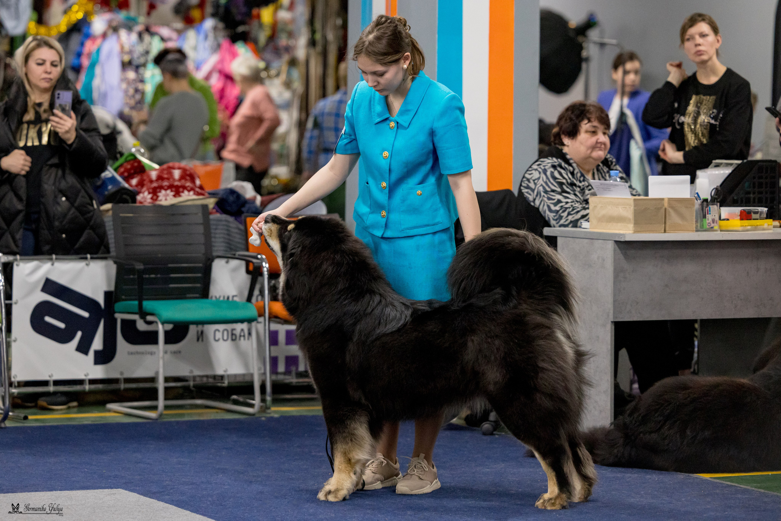 Сфера 28.01. и 4.02.2024. Фотограф-анималист Юлия Германика