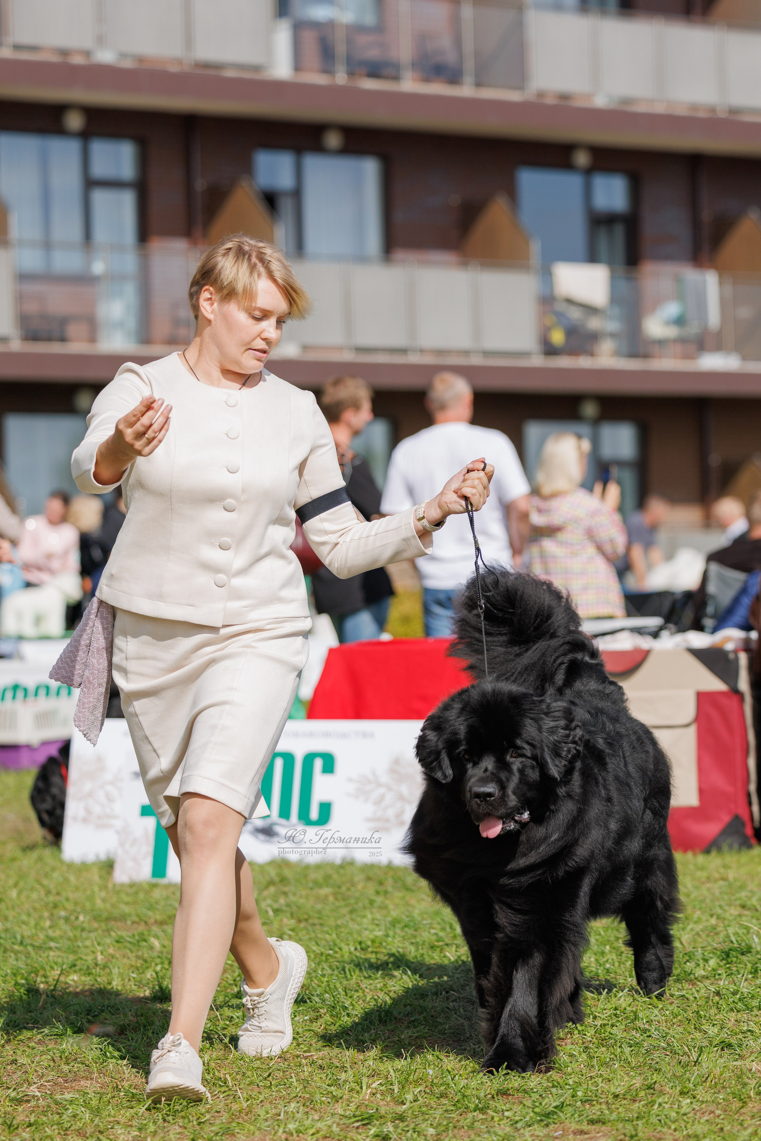 Переславль 5-7.08.2025. Фотограф-анималист Юлия Германика