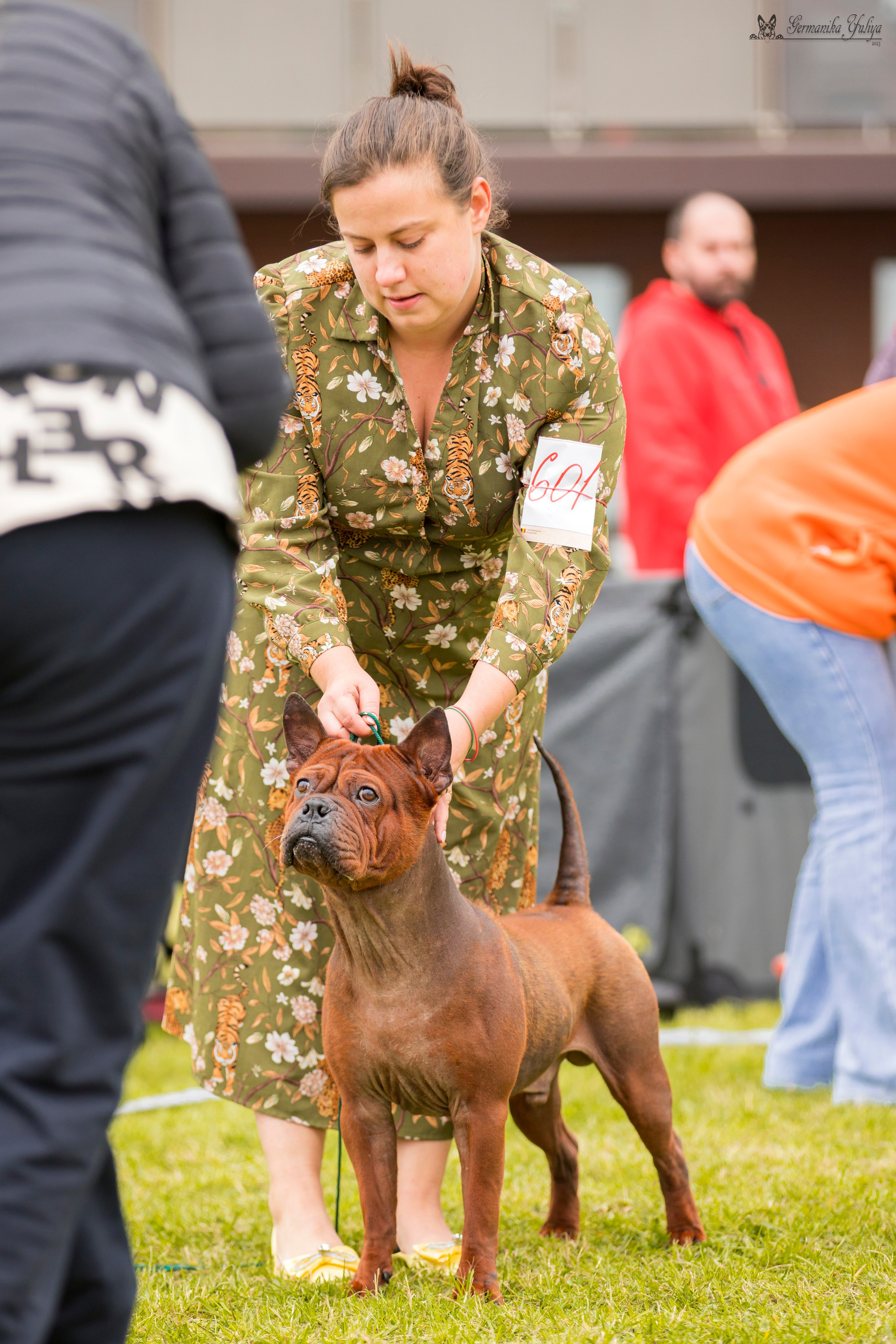 Переславль 9-10.09.2023. Фотограф-анималист Юлия Германика