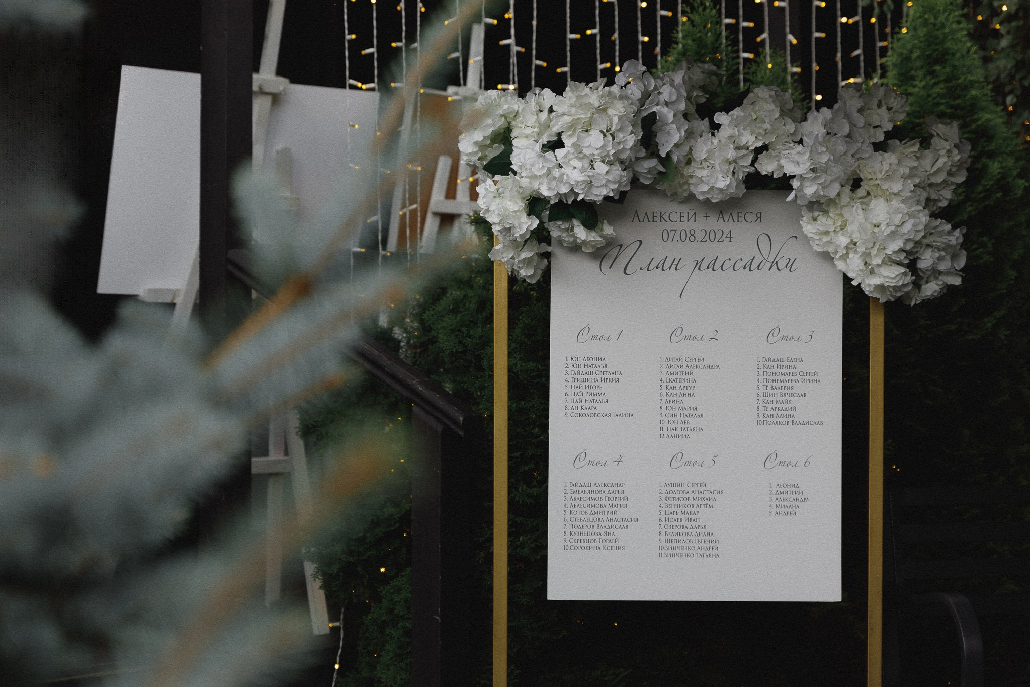 Алеся & Алексей. Герасимов Дмитрий