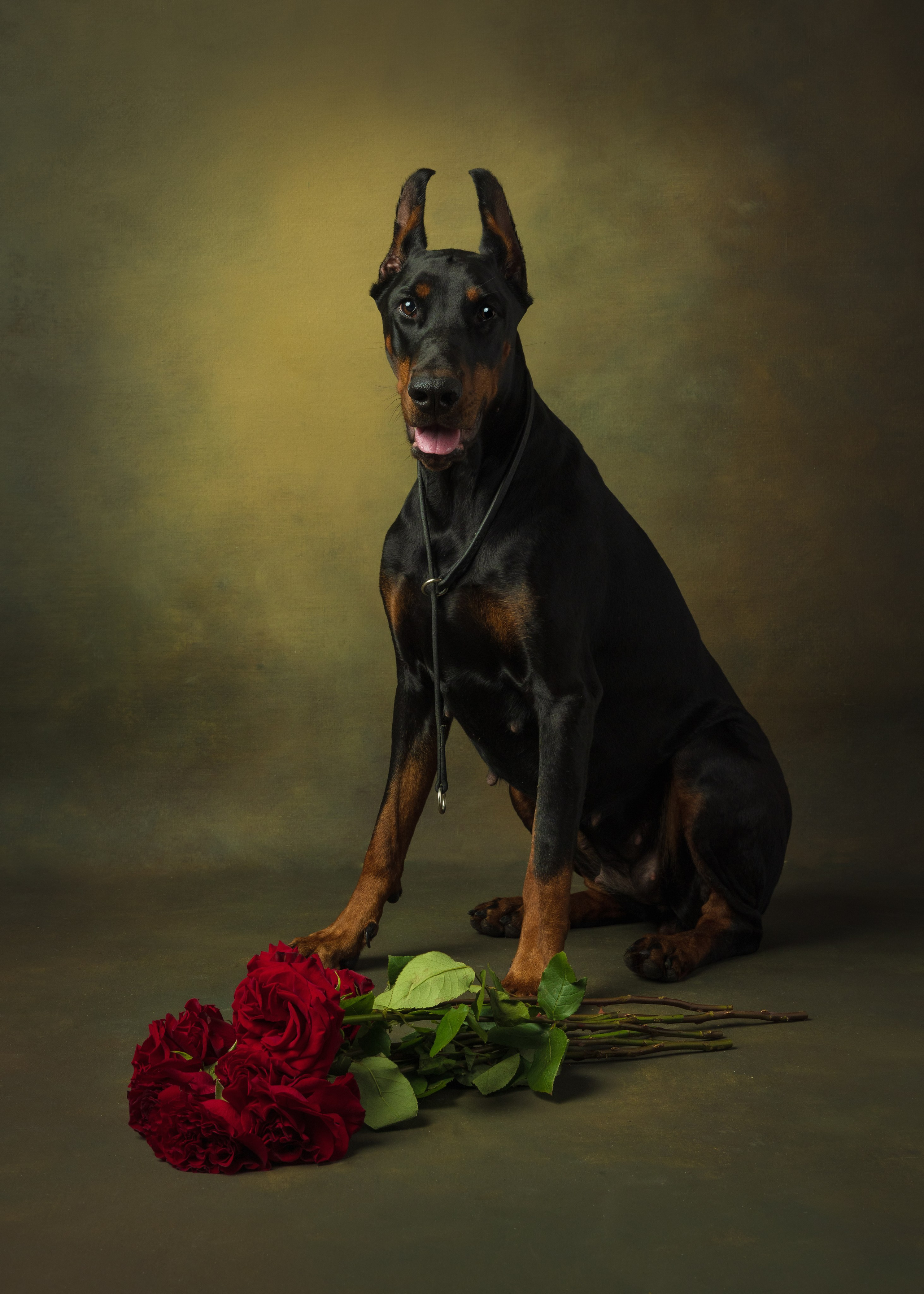 Фотонатюрморты. Савельева Ольга фотохудожник-портретист Москва