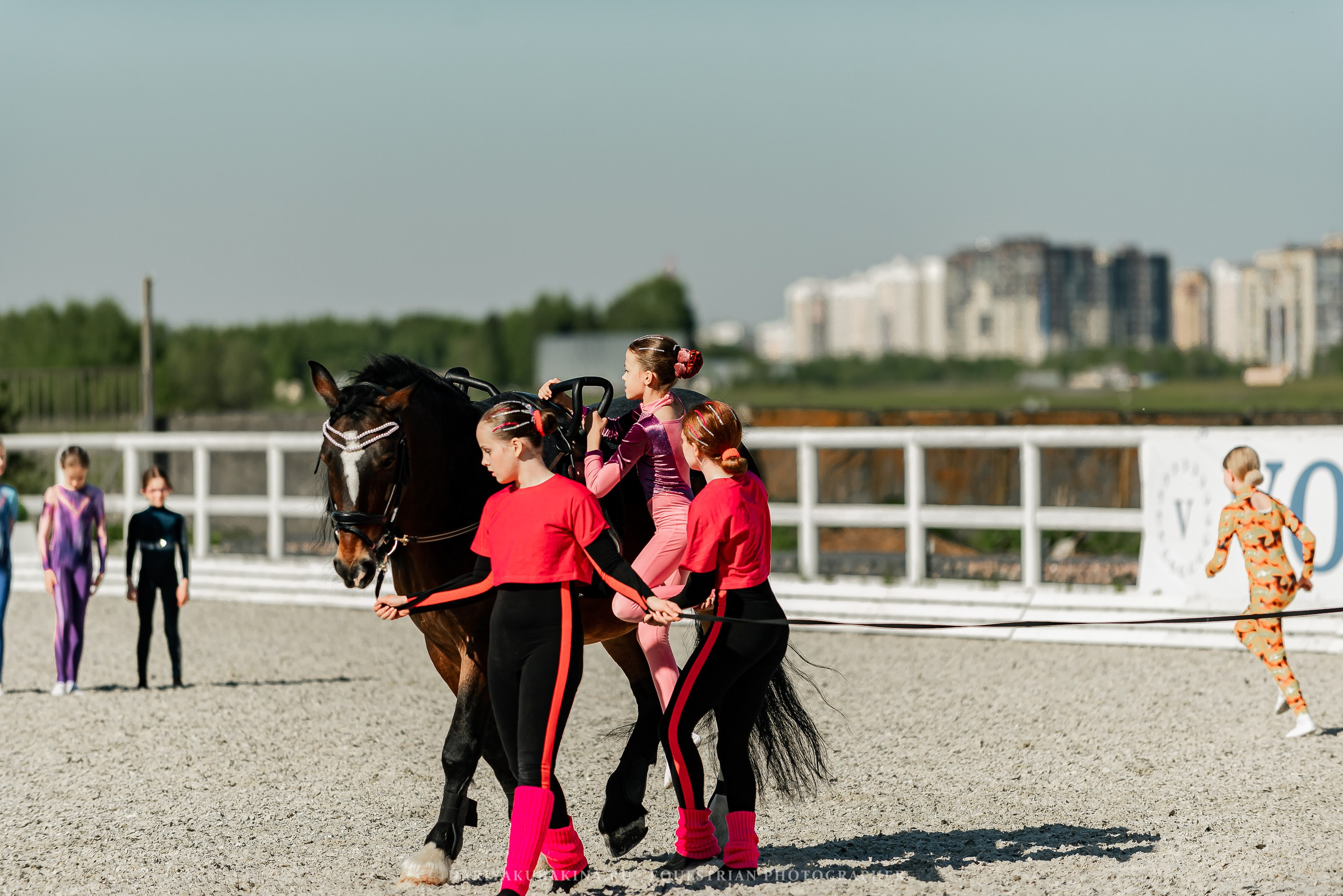 РЕПОРТАЖ МКК ВОЛЬТ «LA TULIPS». Конный фотограф Куракина Дарья • Фотосессии с лошадьми