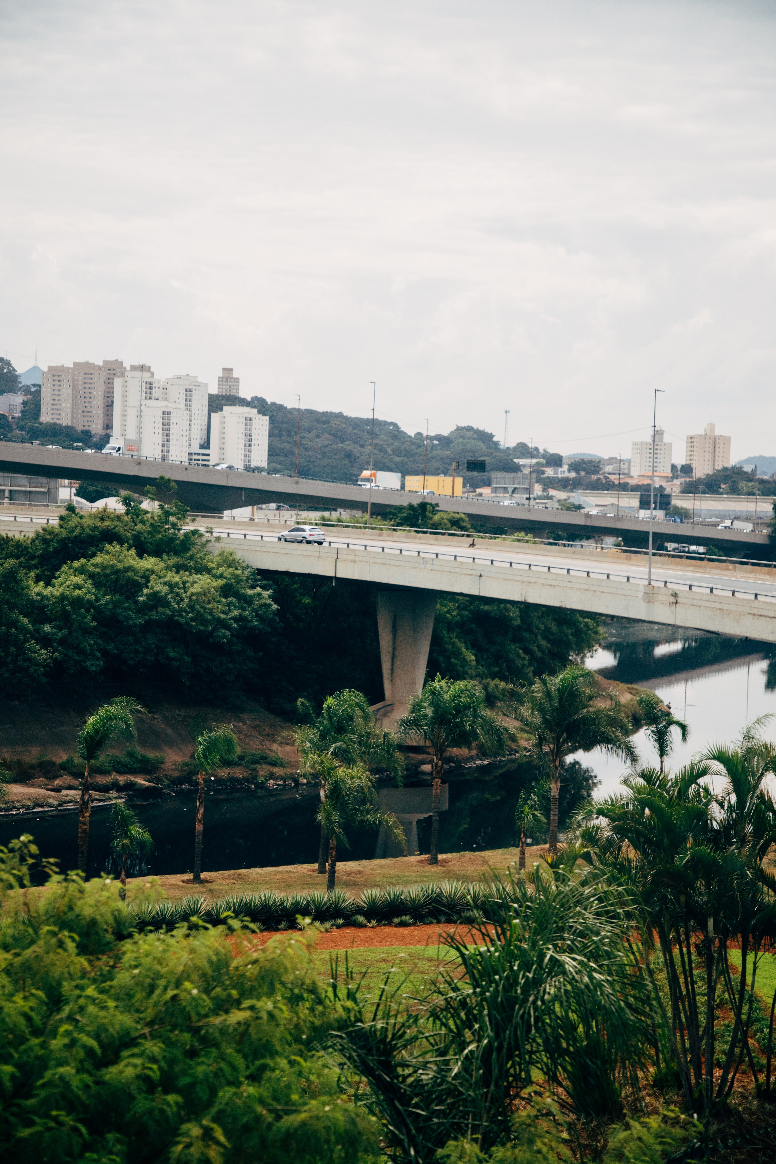 Brazil. Фотограф Юлия Курочкина