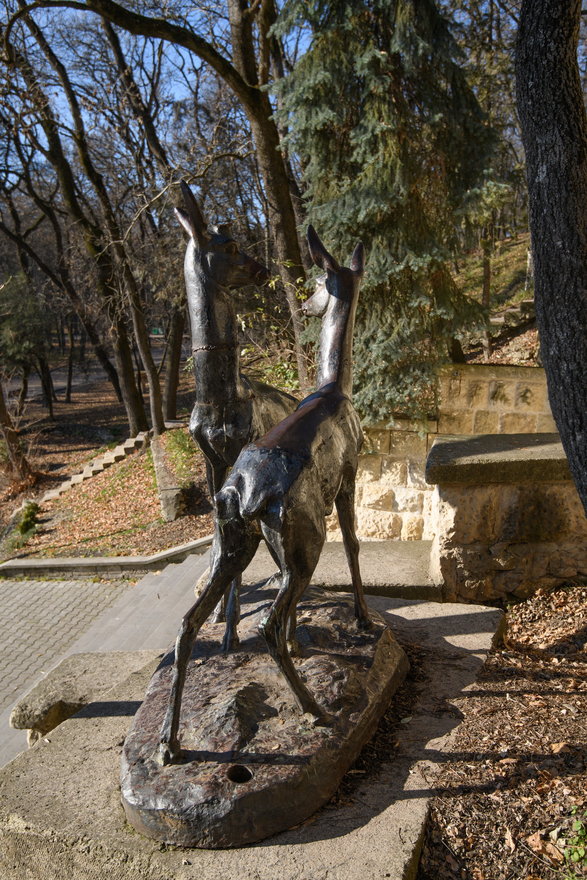 Ессентуки. Профессиональная фотосъемка. Ростов-на-Дону