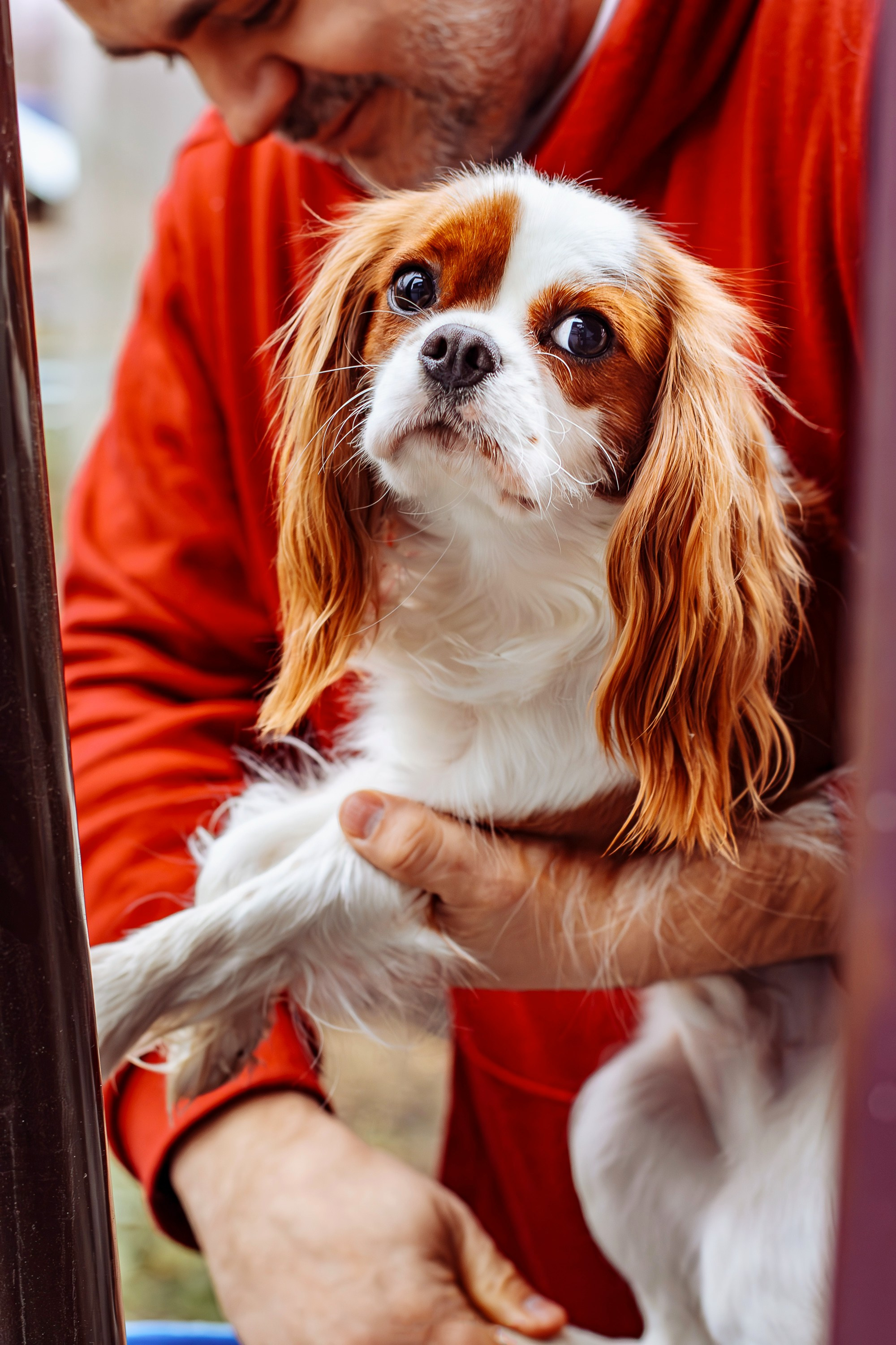 Моменты. Фотограф, видеограф и пилот квадрокоптера