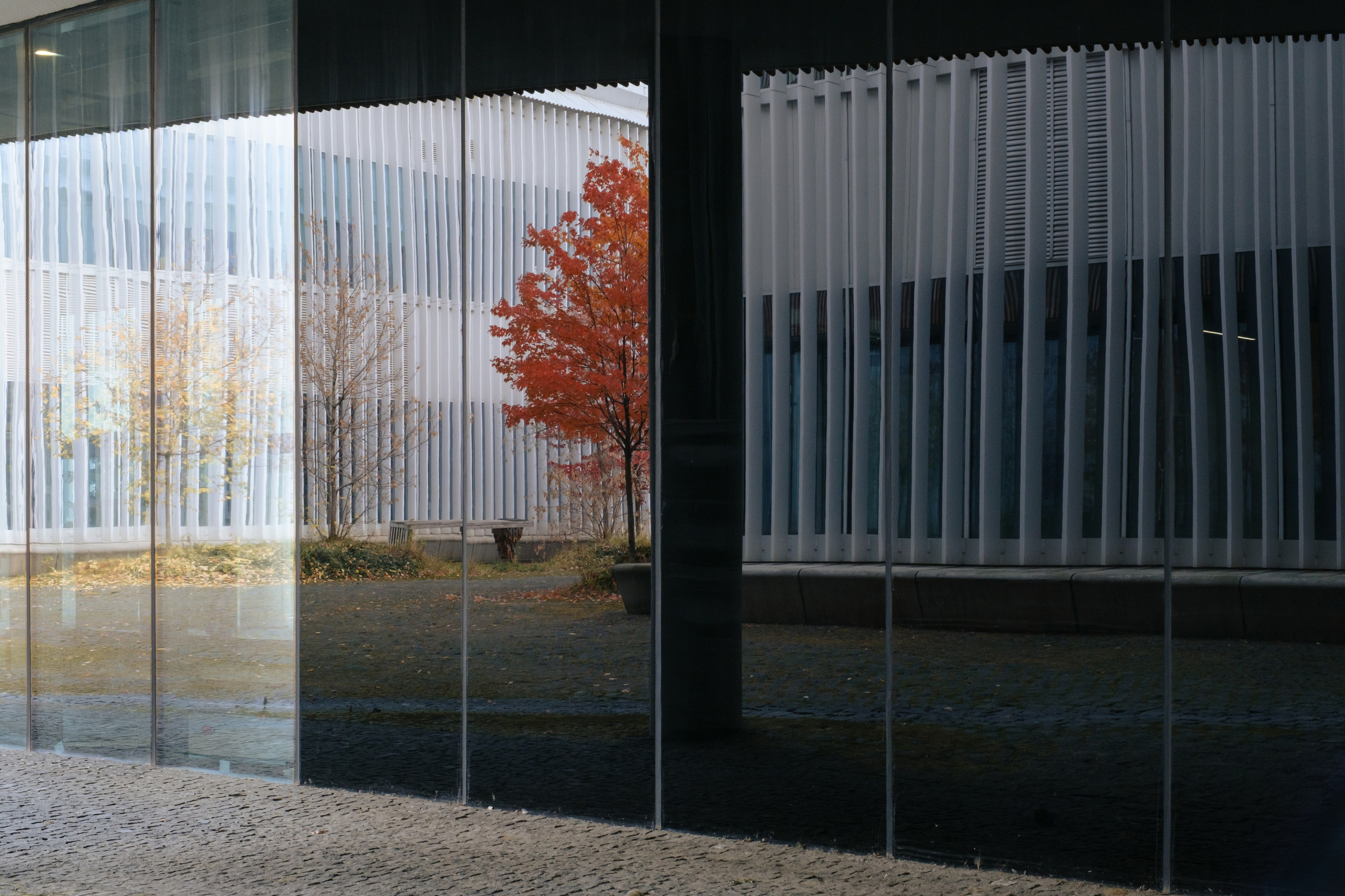 Сколтех, 2025. Фотограф и исследователь городской среды Ксения Русс