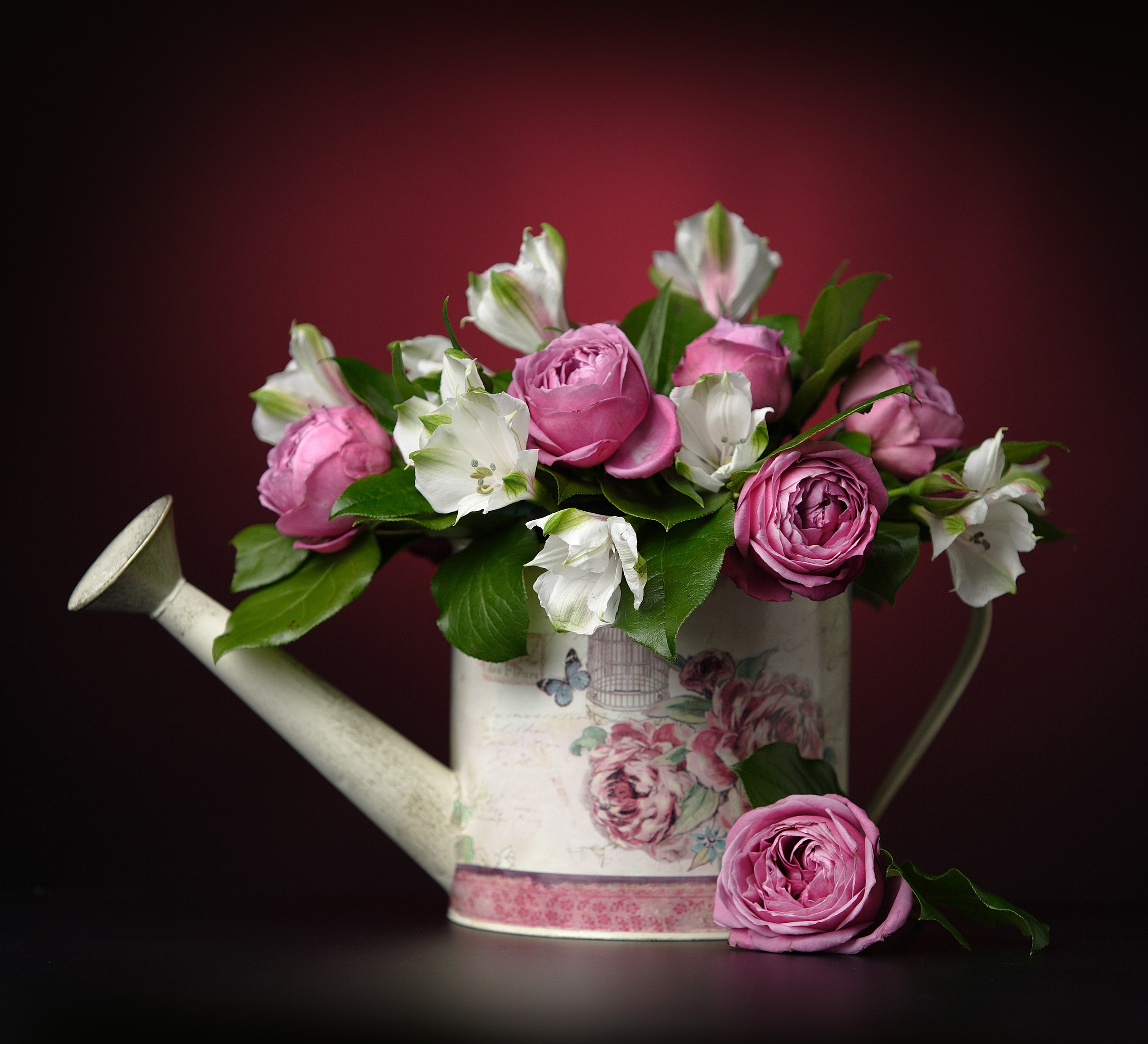 Цветы. Фотограф Мария Кольцова