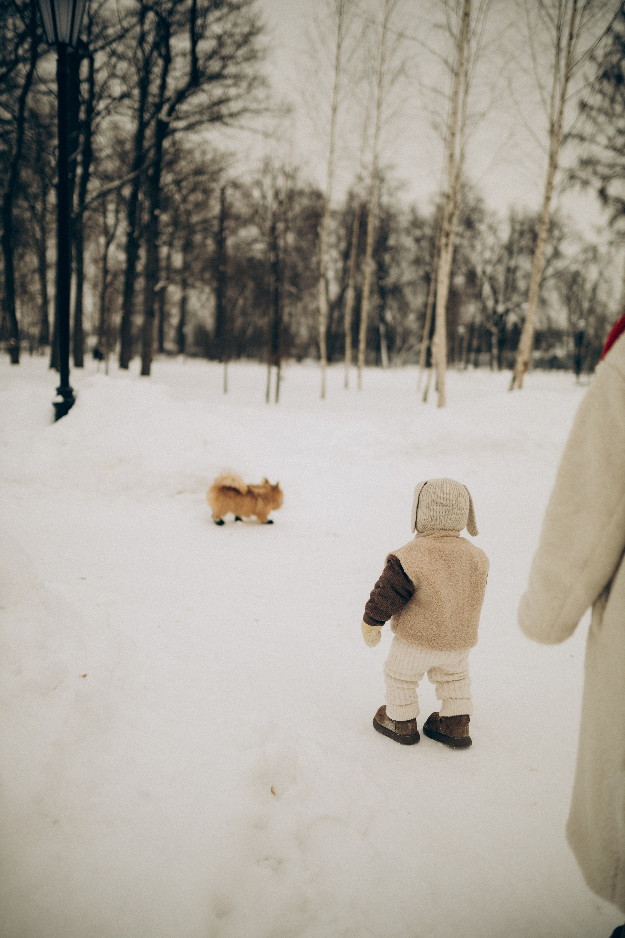 Зайка с баранками. Семейный фотограф Вероника Каюрова Ярославль