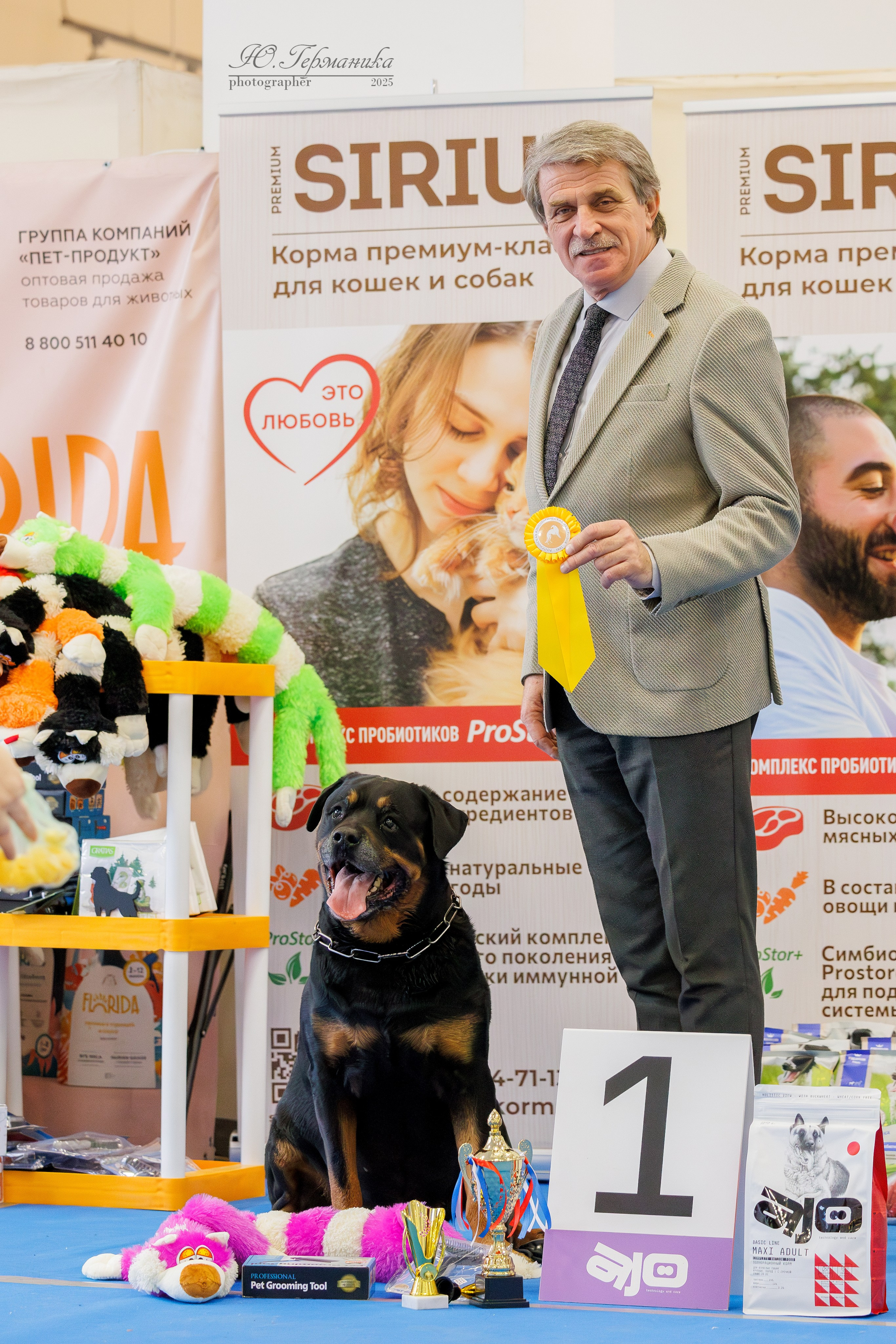 Питер ротвейлеры 18.01,Крокус 19.01.2025. Фотограф-анималист Юлия Германика