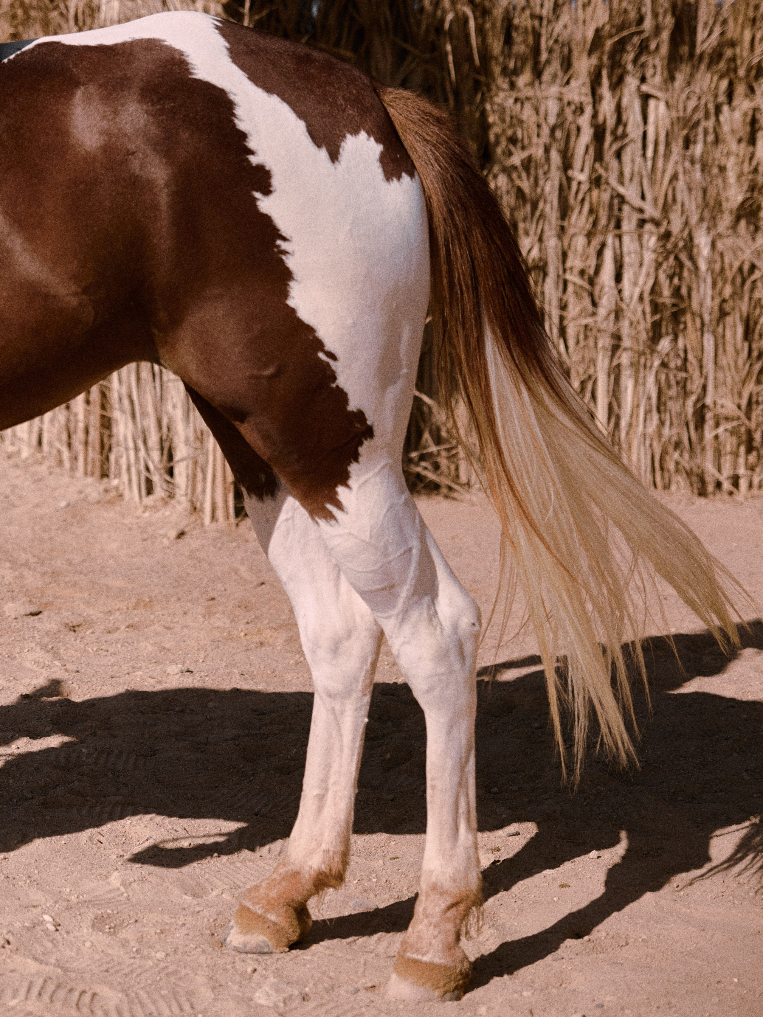 Другое 2. Jorgis Talè — photographer, kind person, teacher of arts and other mag