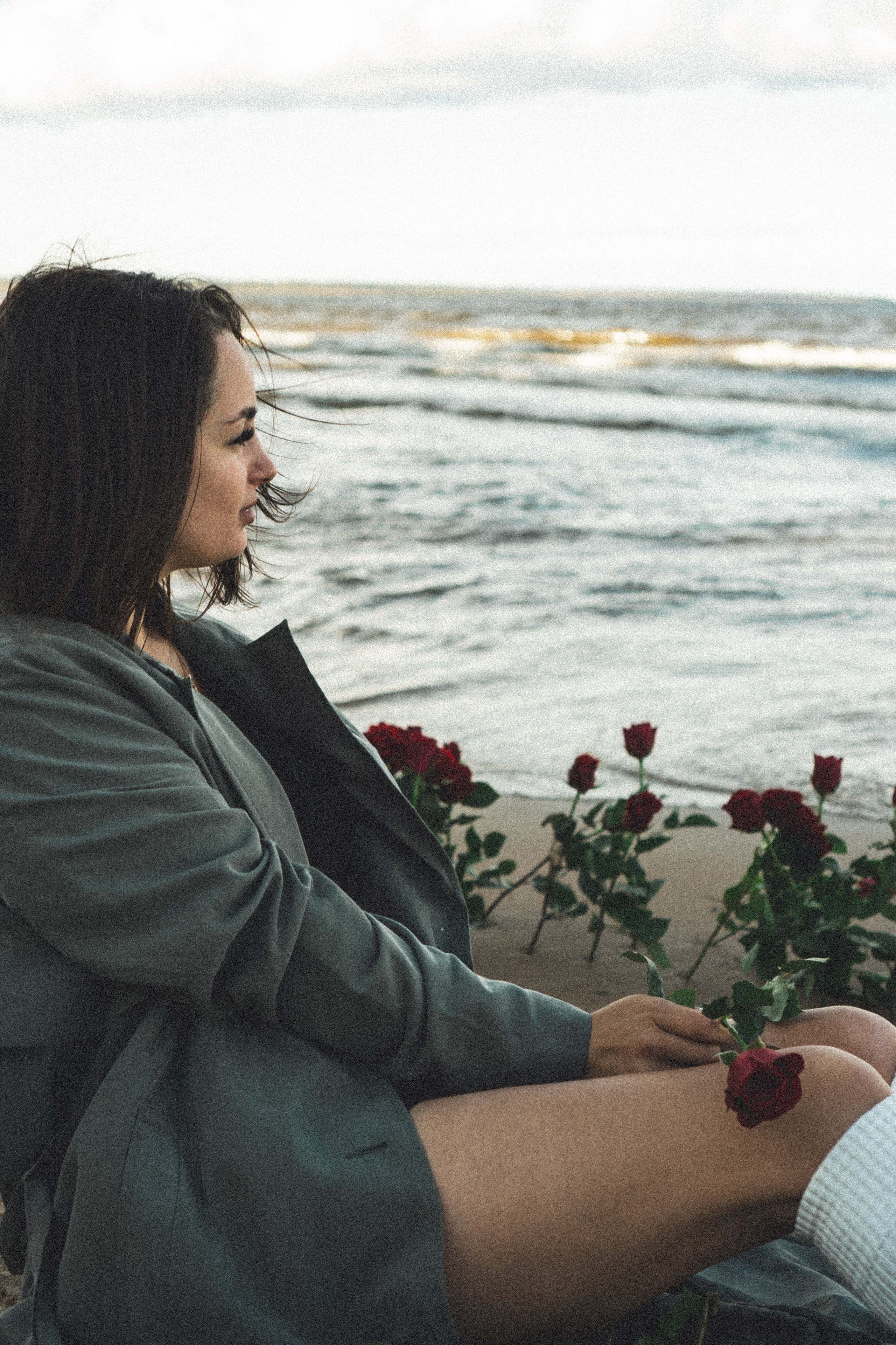 Розы. Профессиональный фотограф, Санкт-Петербург — Виктория Богомолова