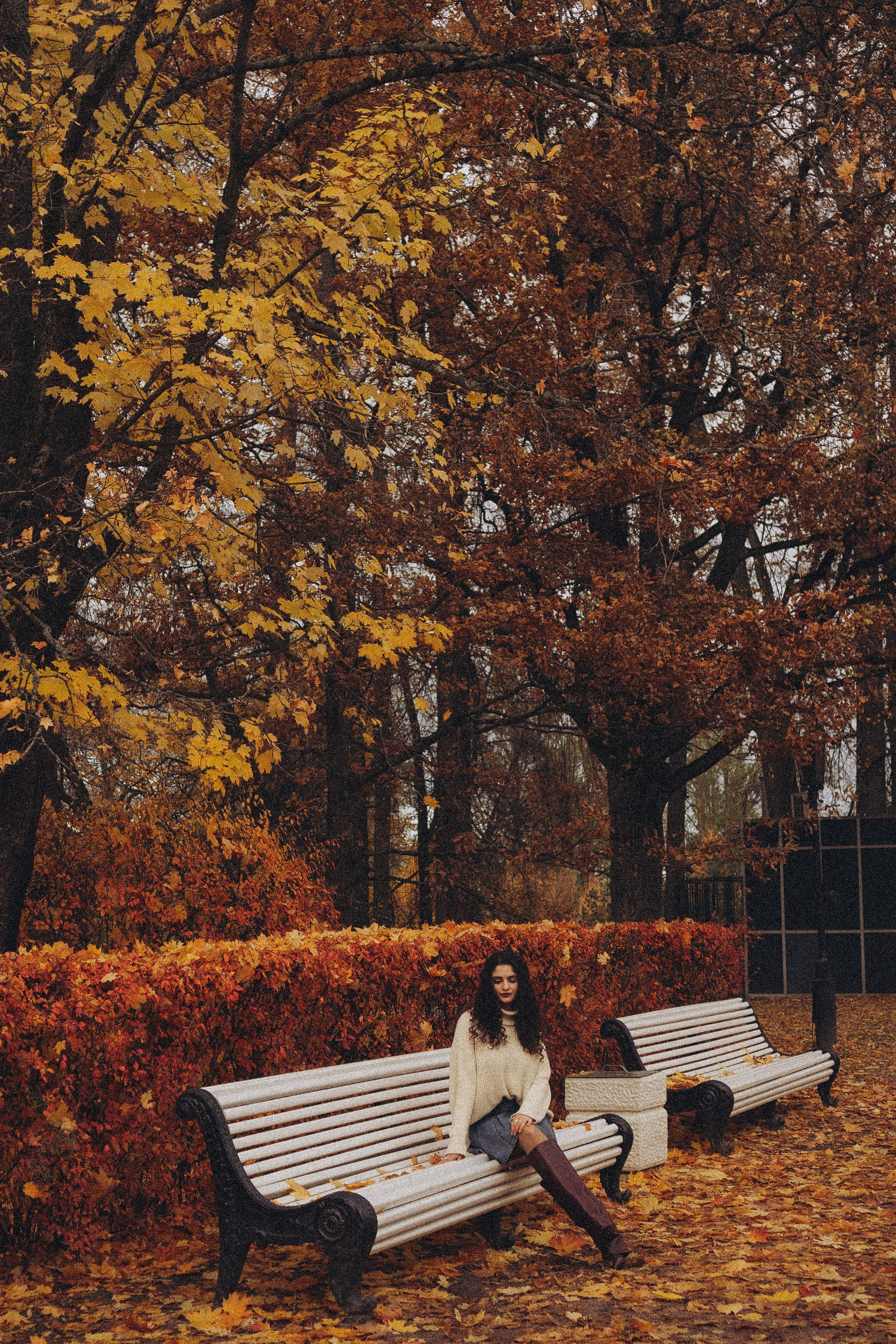 Осеняя прогулка. Профессиональный фотограф, Санкт-Петербург — Виктория Богомолова