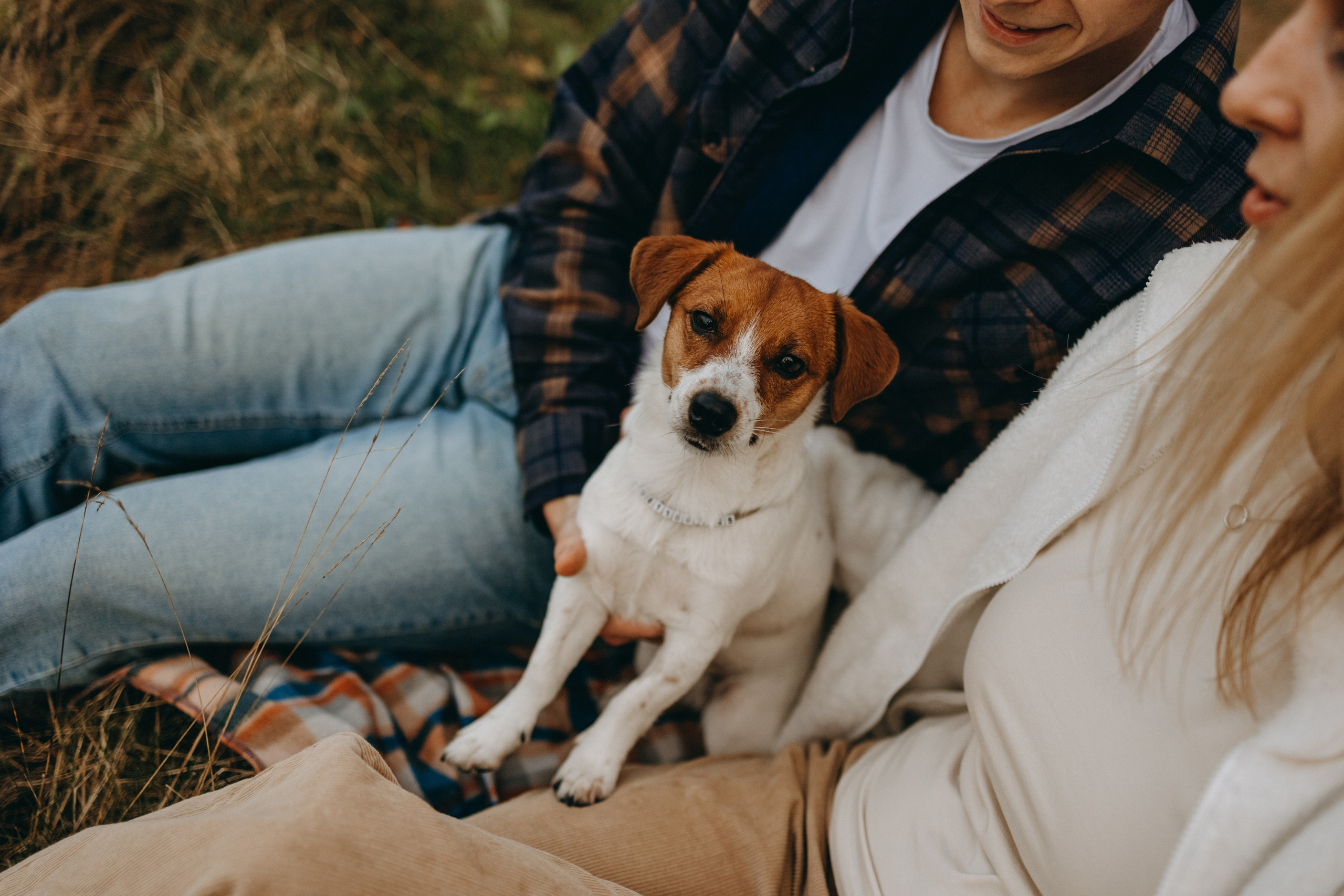 Лея и ее семья. Фотограф — Анималист | Санкт-Петербург