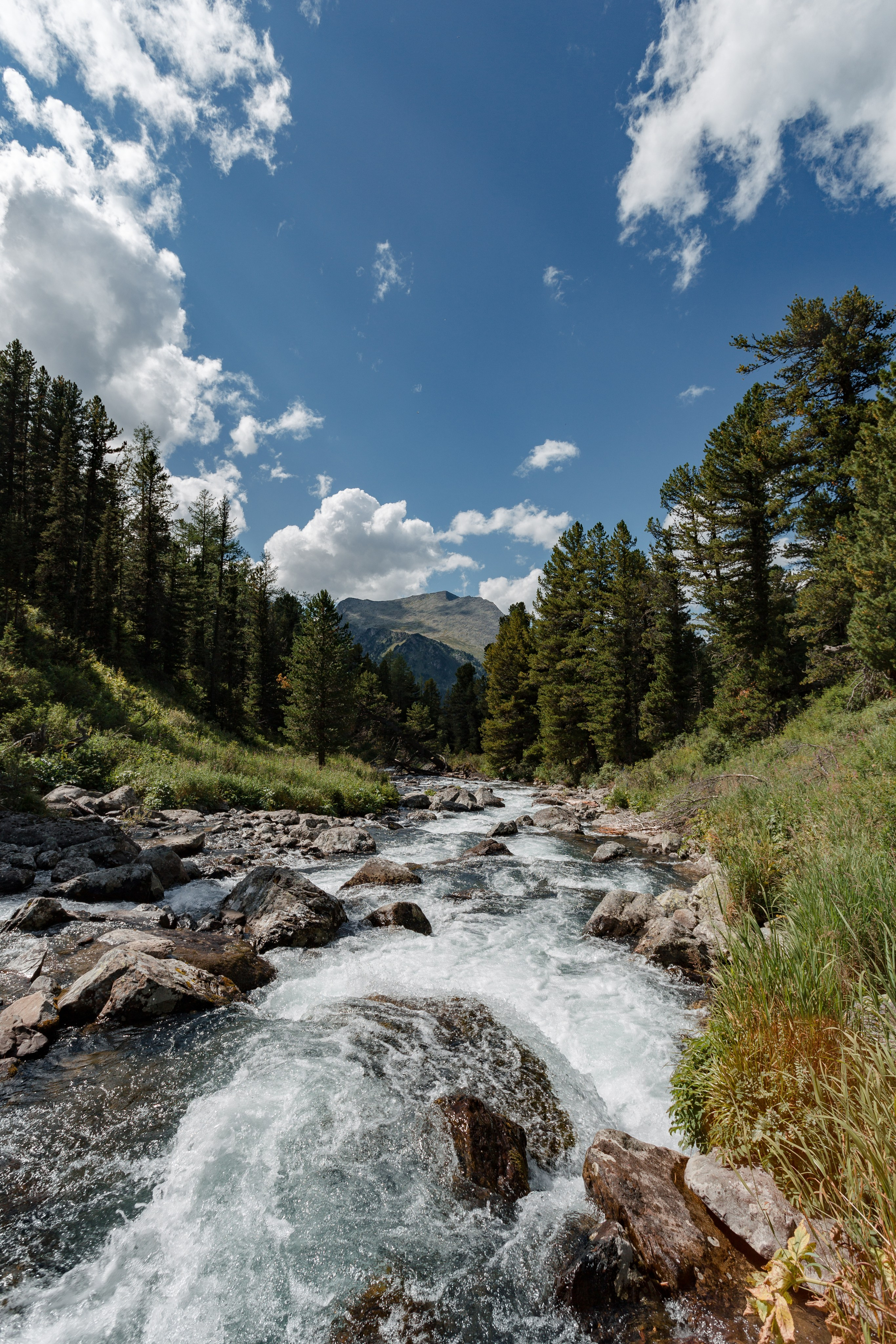 Катунский заповедник, Республика Алтай. Репортажный фотограф в Крыму Ксения Гасица