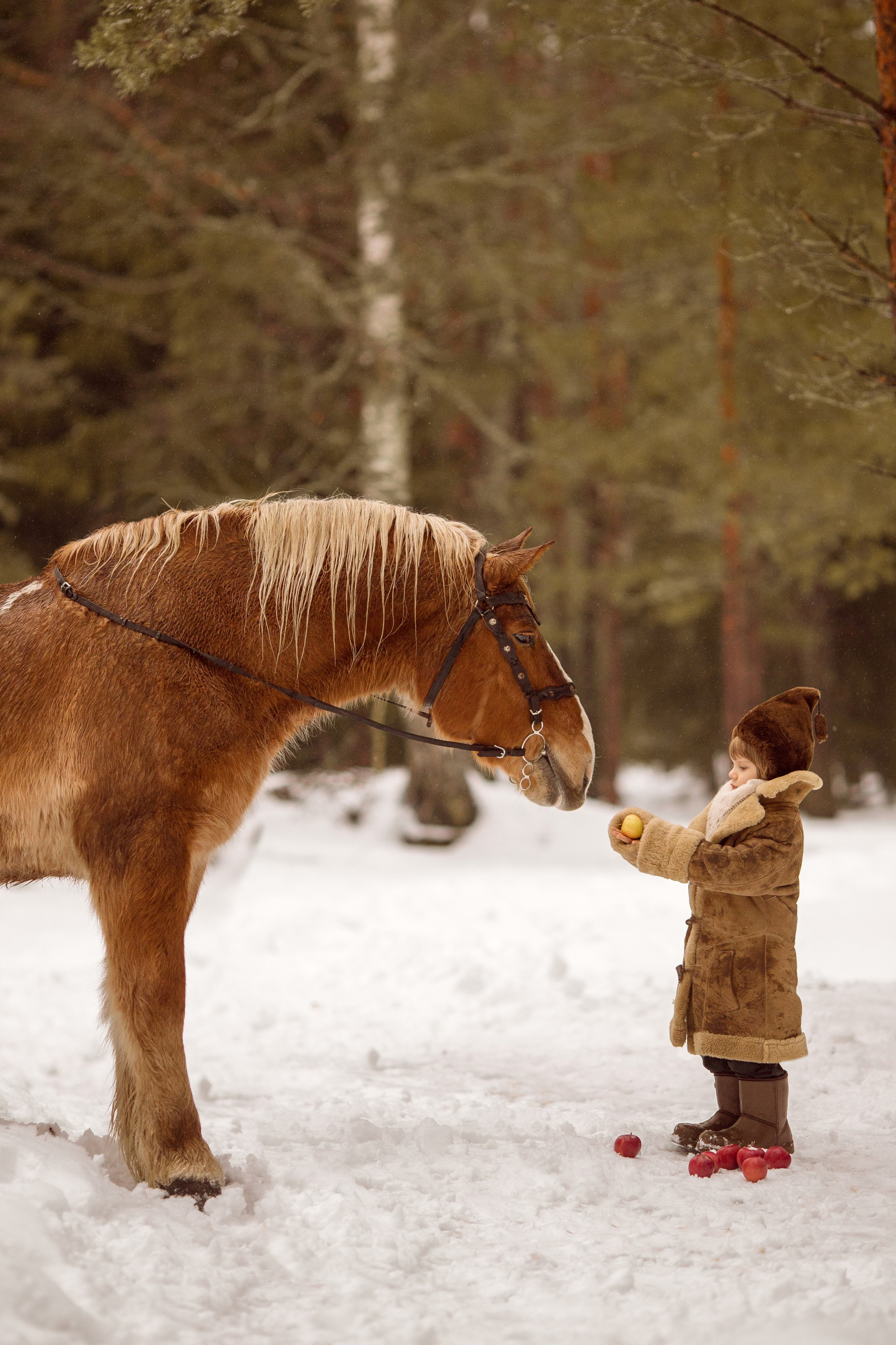 Фото мальчика и лошади зимой