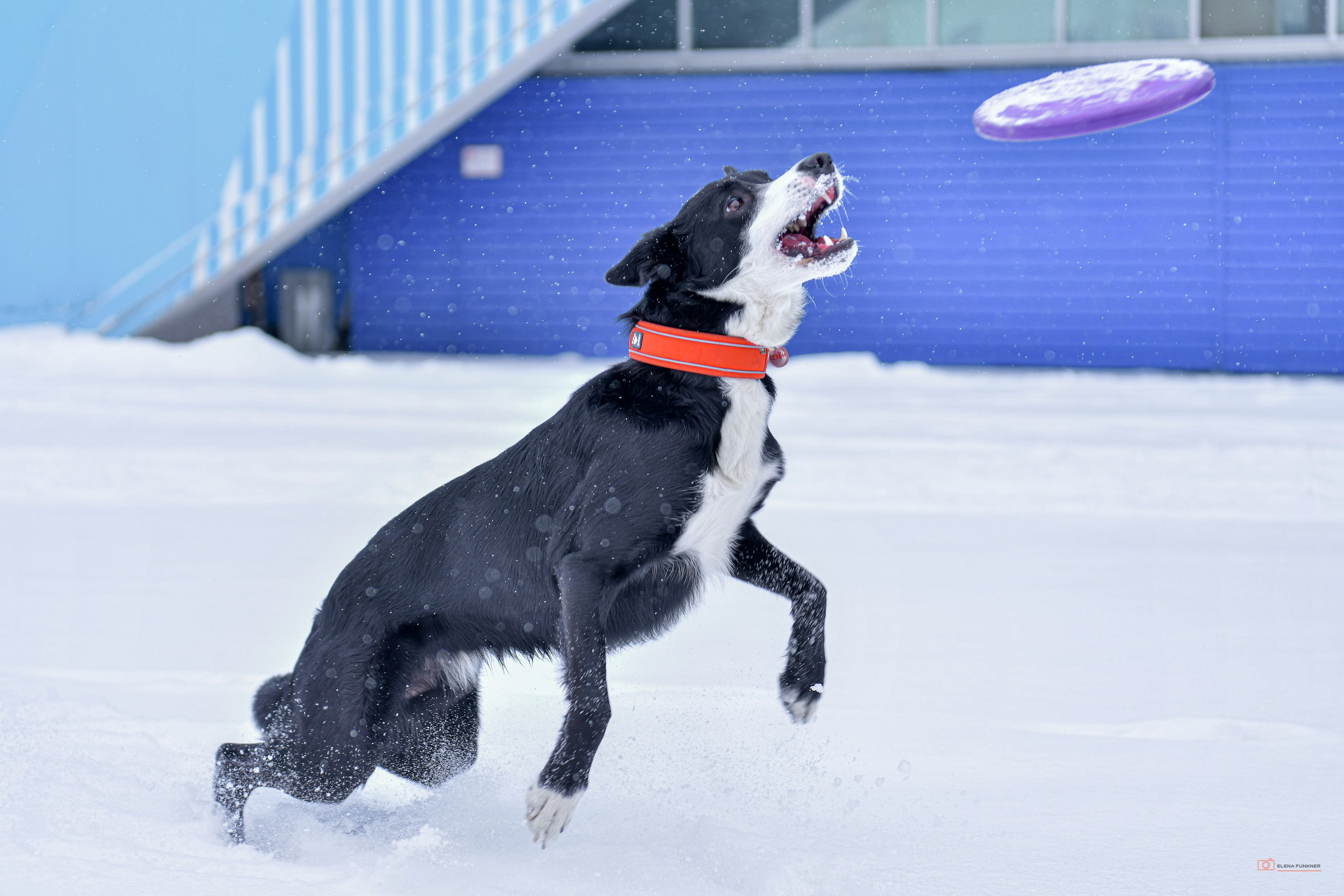 Зима. Свой взгляд через объектив