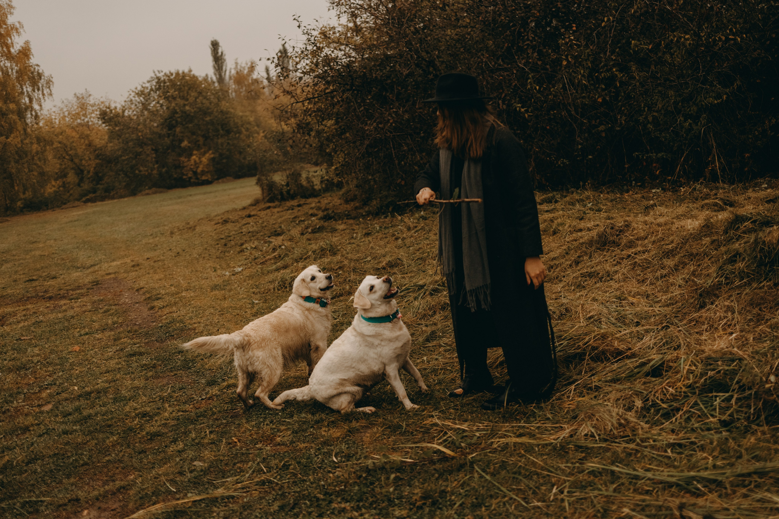 Женя и ее девочки. Фотограф — Анималист | Санкт-Петербург