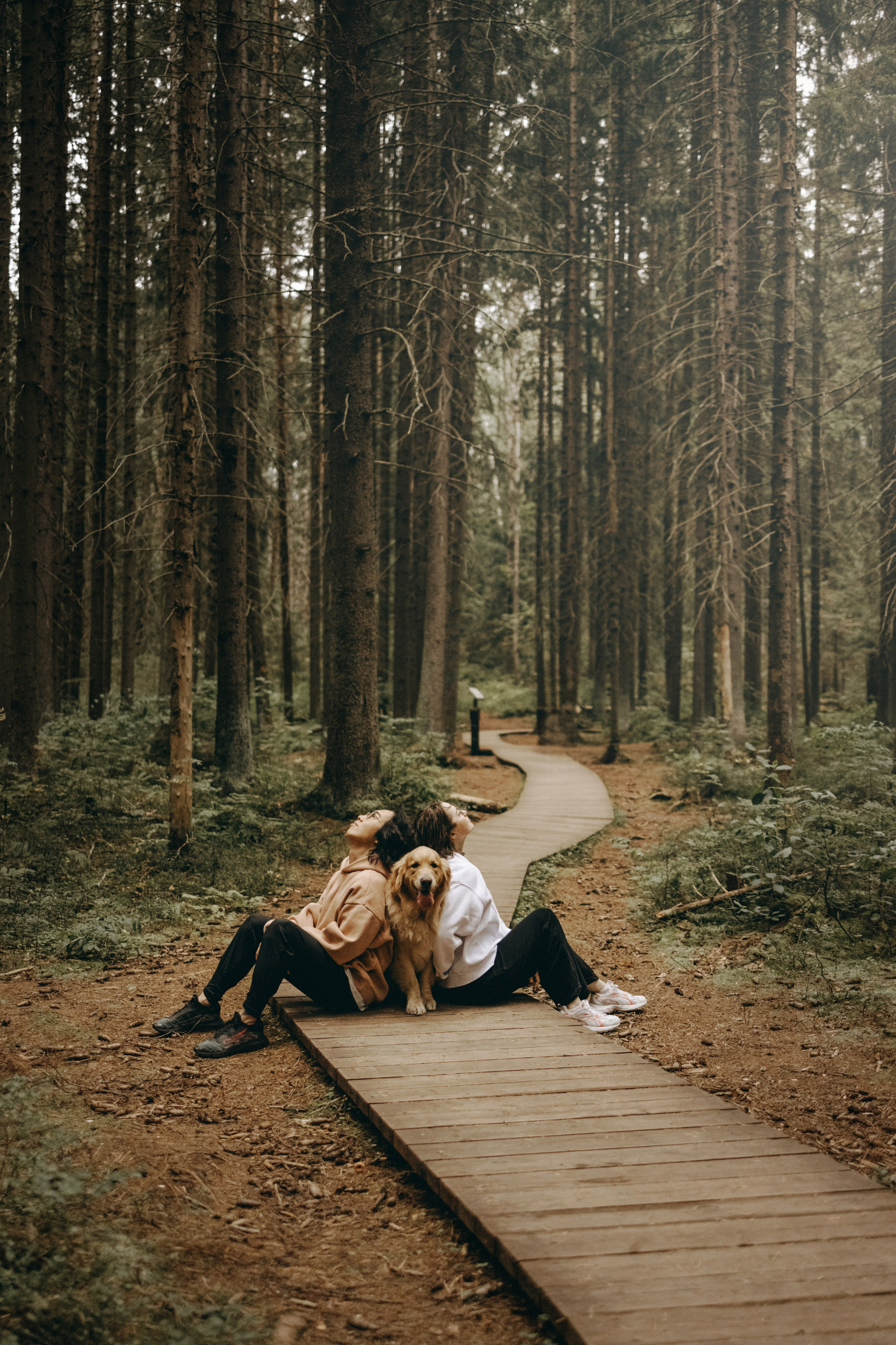 Фоси и его семьи. Фотограф — Анималист | Санкт-Петербург