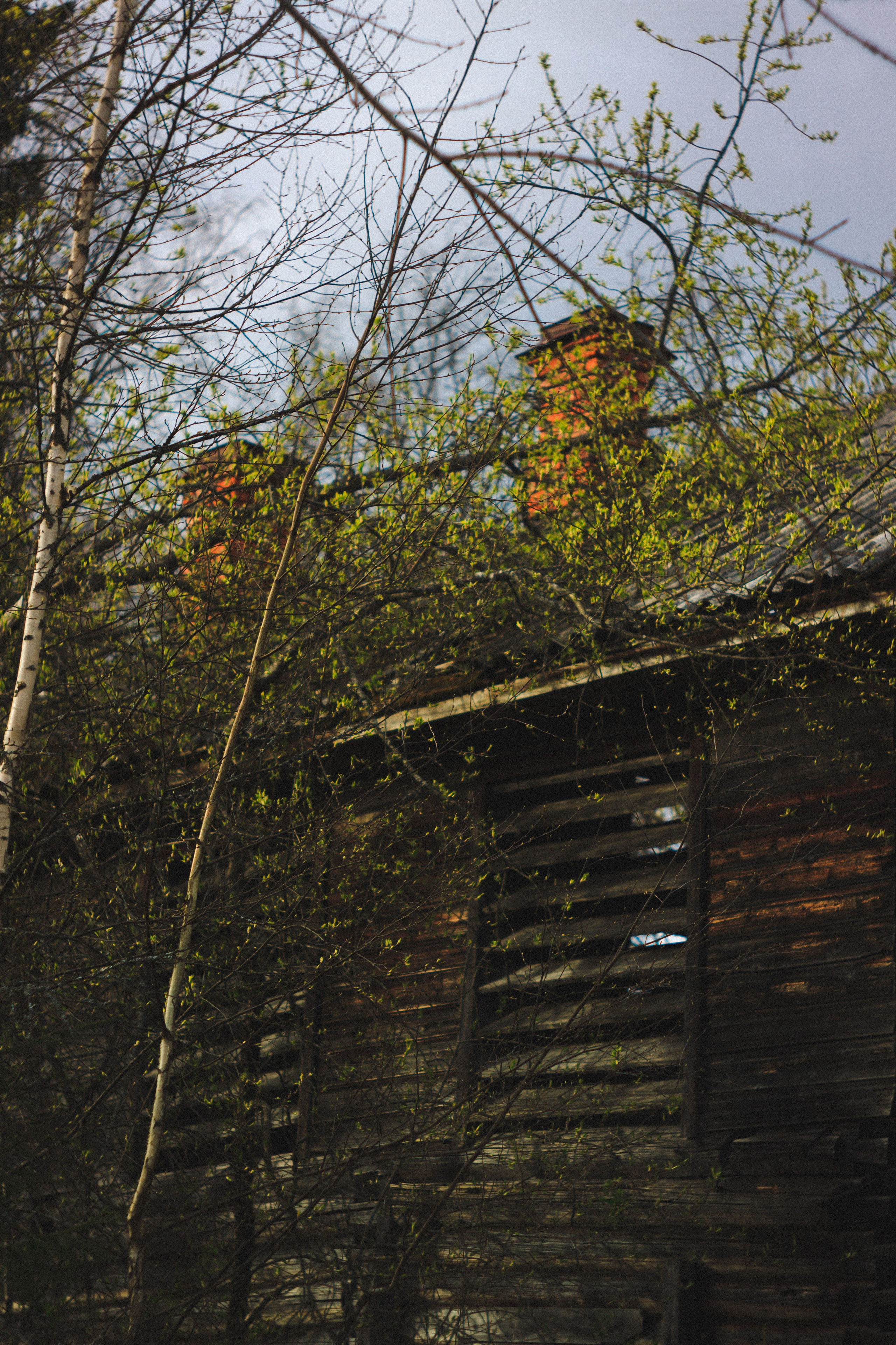 Деревня. Den Mirov — Photographer, Musician