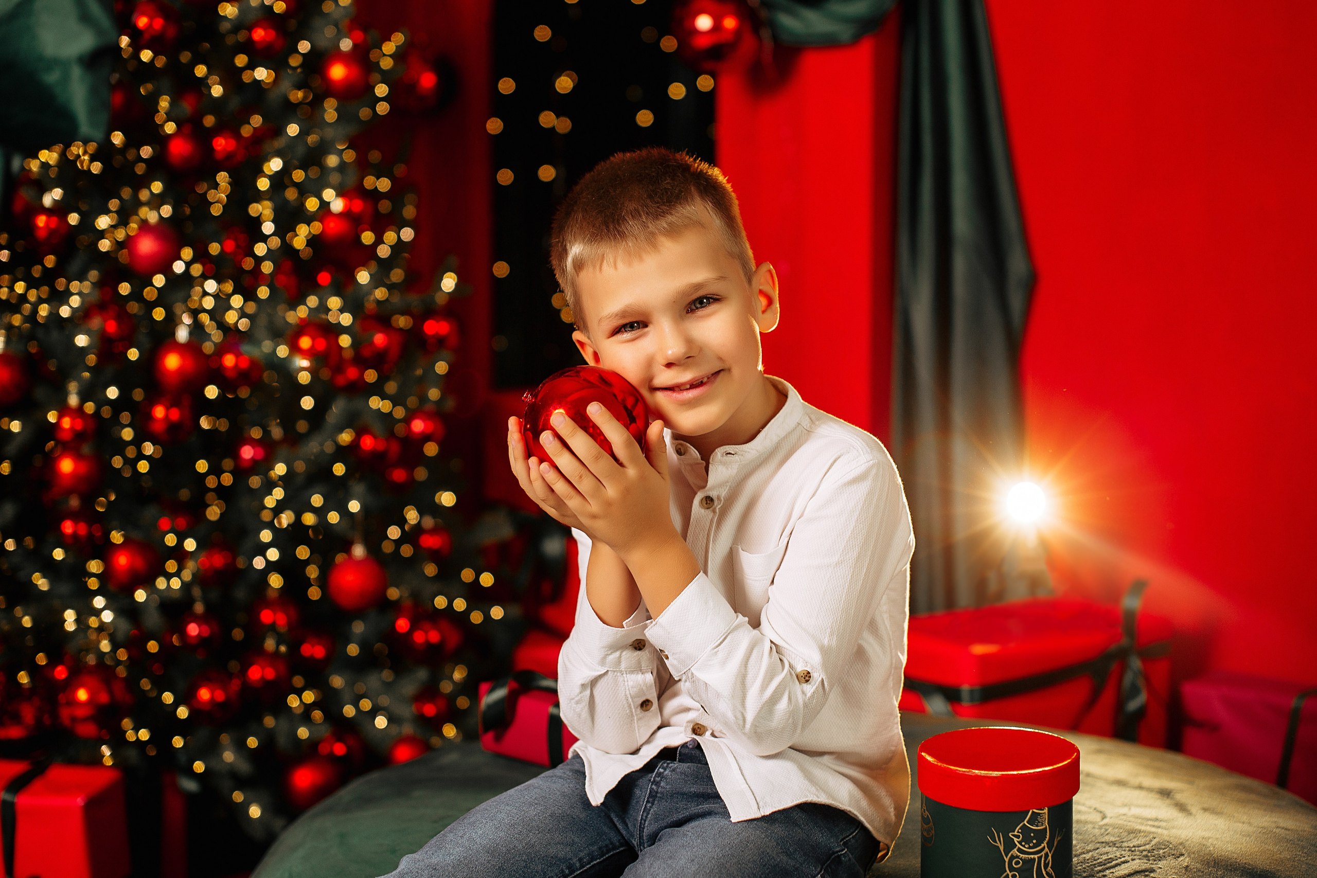 Новогодняя. Https://malovafoto.ru