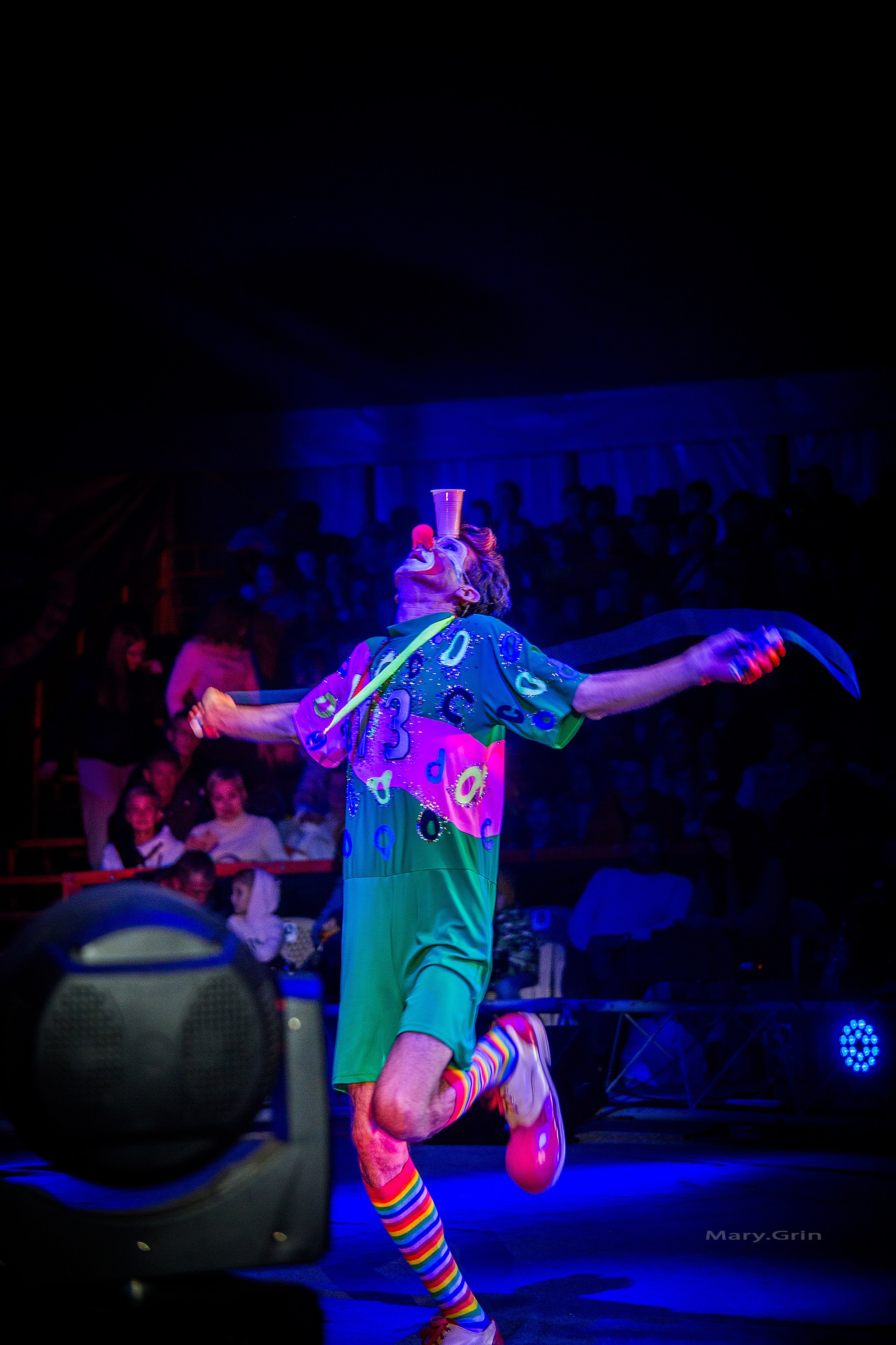 Шоу Демидовых. Детский и семейный фотограф, фотограф мероприятий Нижний Новгород