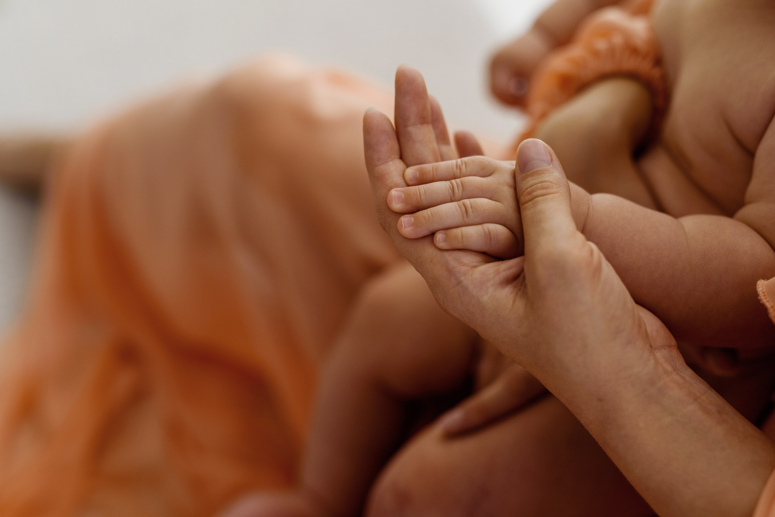 Maternity. Фотограф Шарыпово