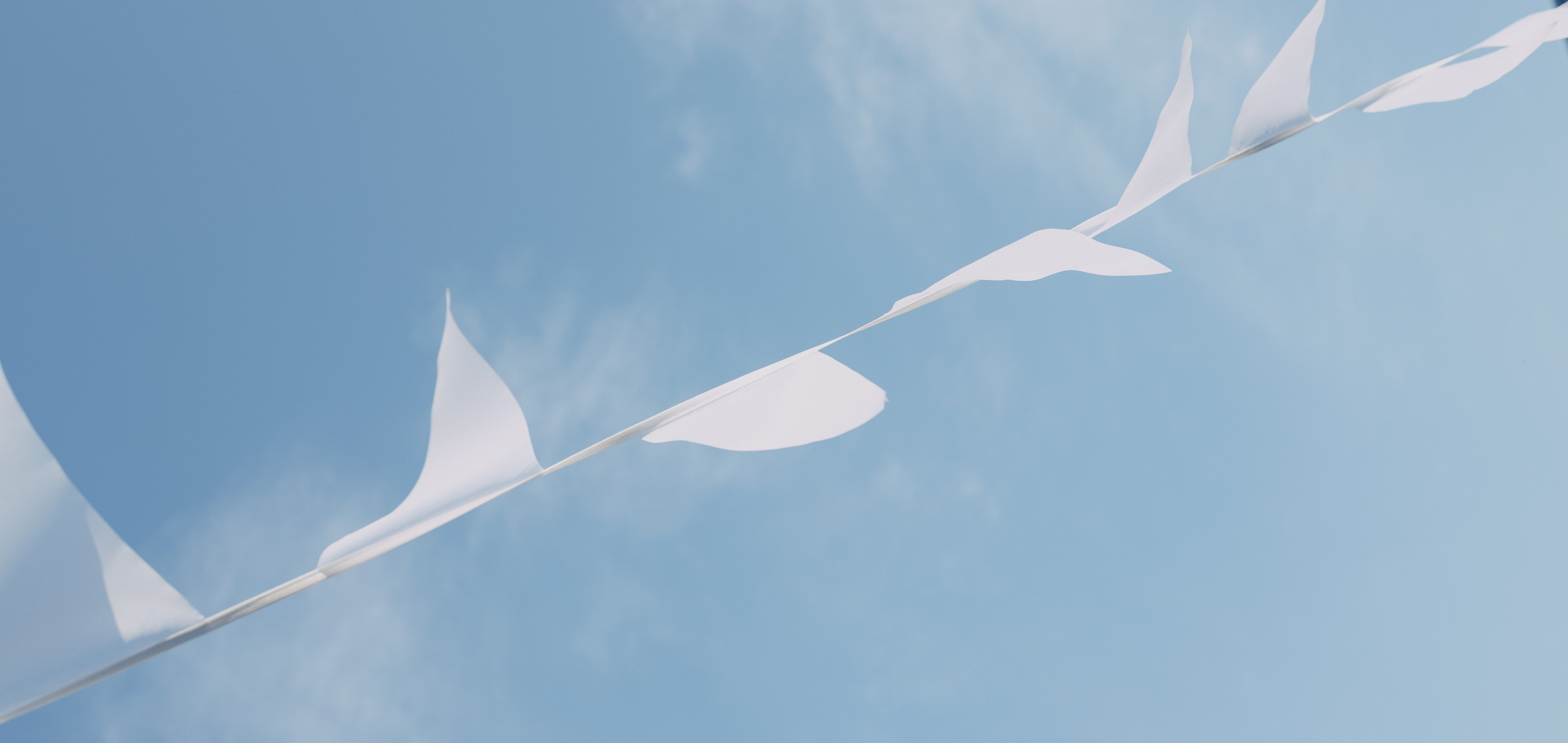 Фотограф Лиана Сафарова. Свадебные, портретные, парные съёмки