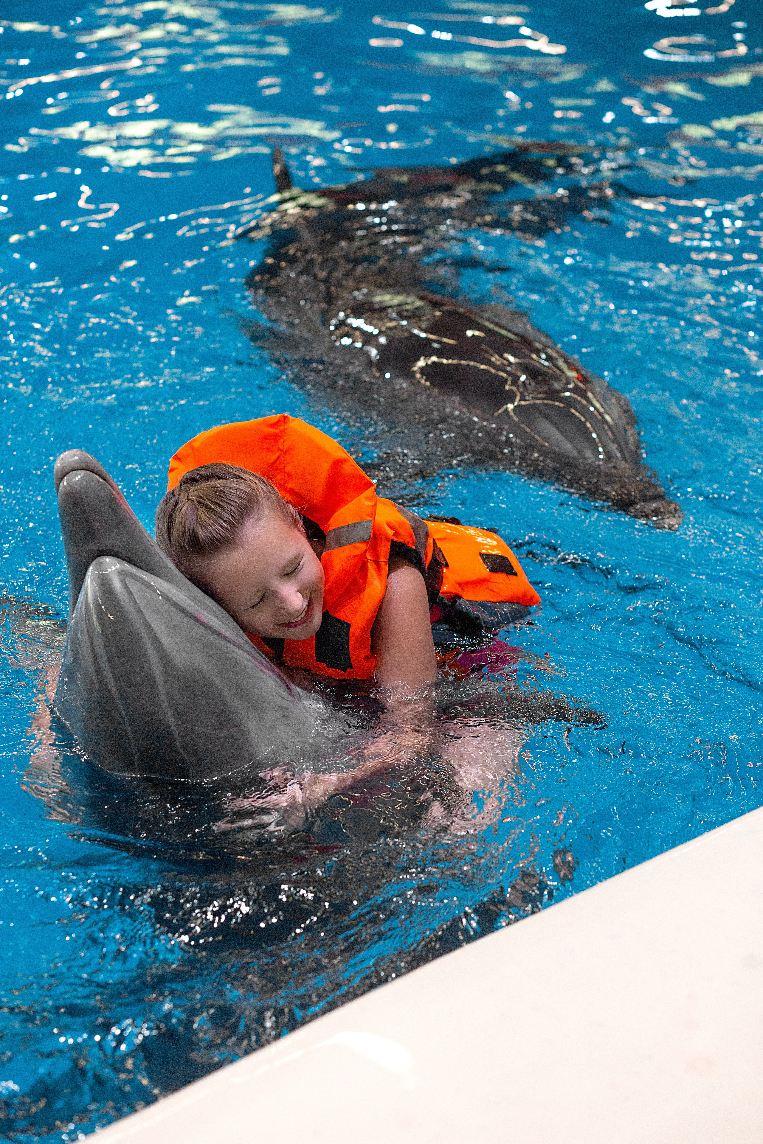 Катя и дельфины. Фотосессия с лошадьми в Нижнем Новгороде